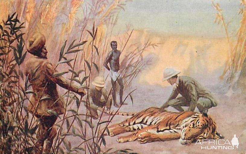 Tiger Hunting