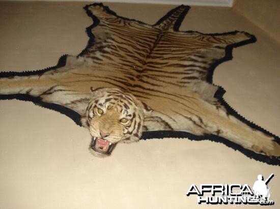 Tiger Rug