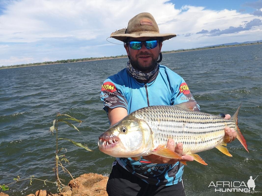 Tigerfish Fishing Cahora Bassa Mozambique