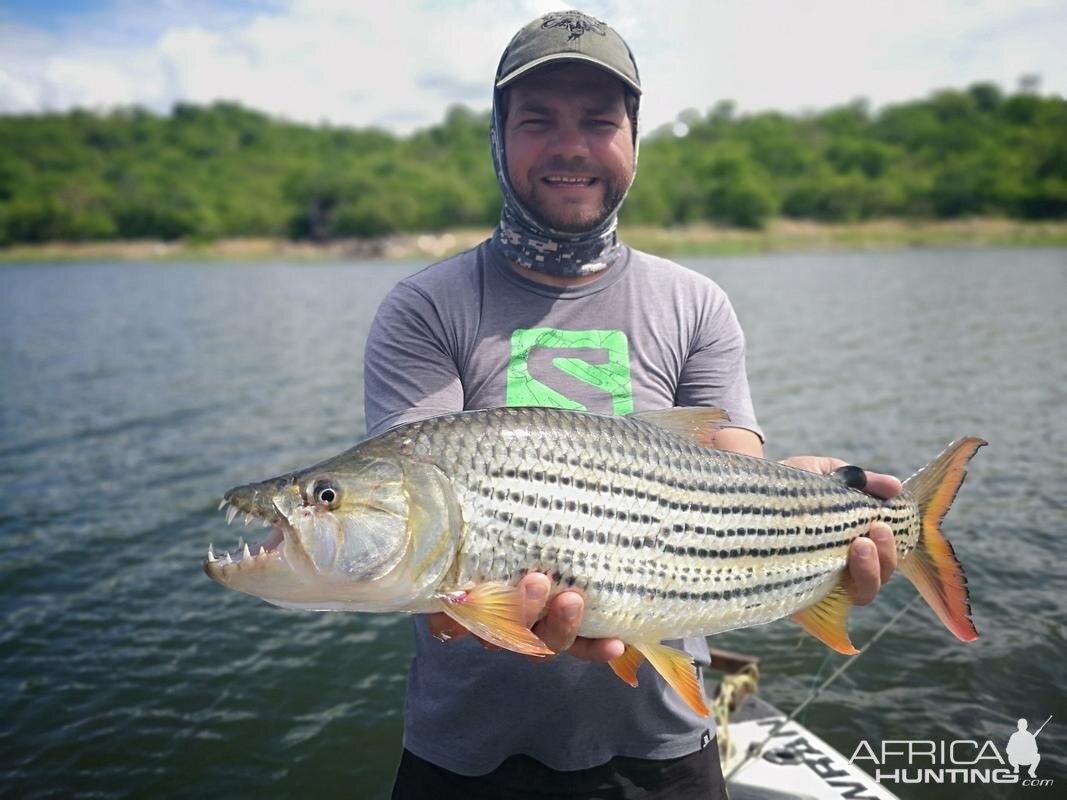 Tigerfish Fishing Cahora Bassa Mozambique