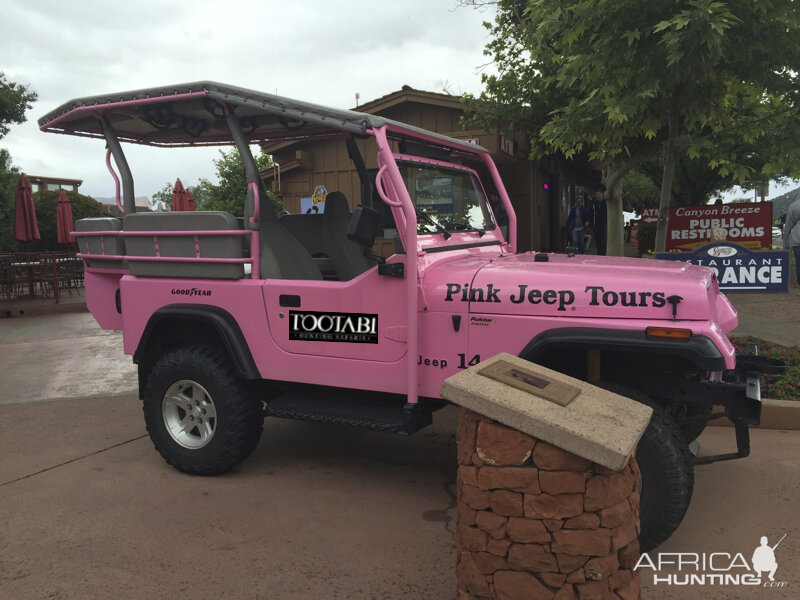 Tootabi Pink Jeep