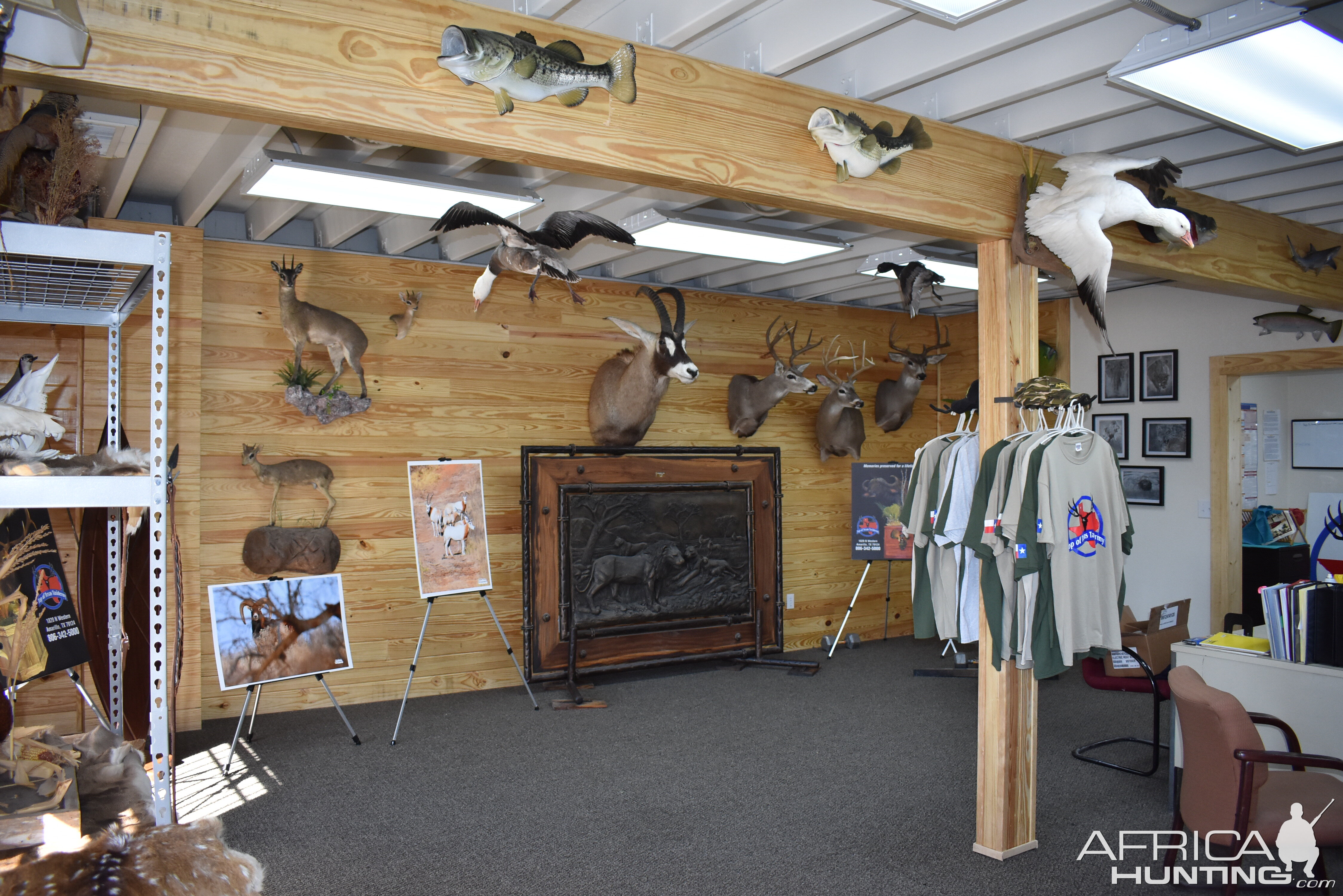 Top of Texas Taxidermy New Showroom and Studio