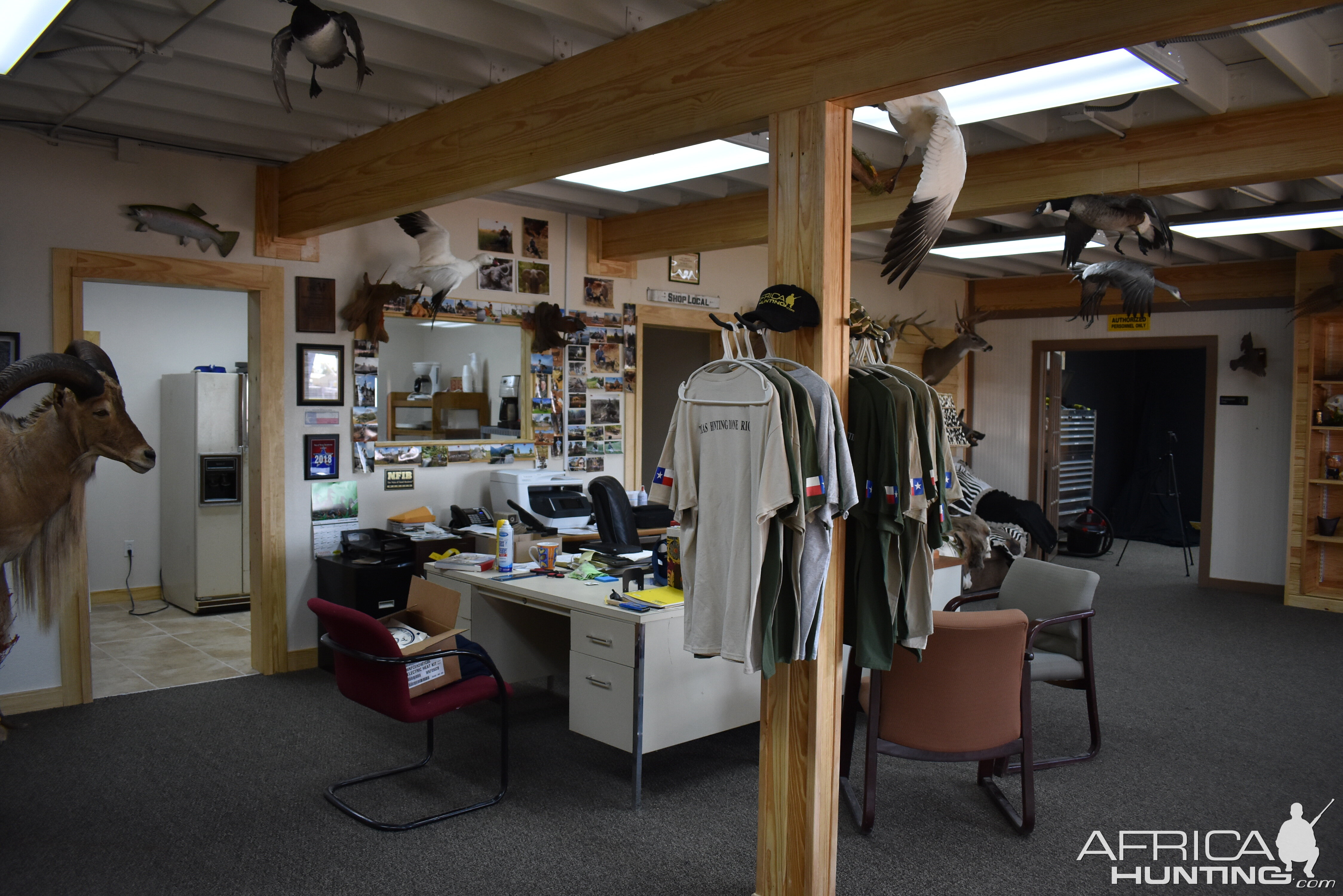 Top of Texas Taxidermy New Showroom and Studio