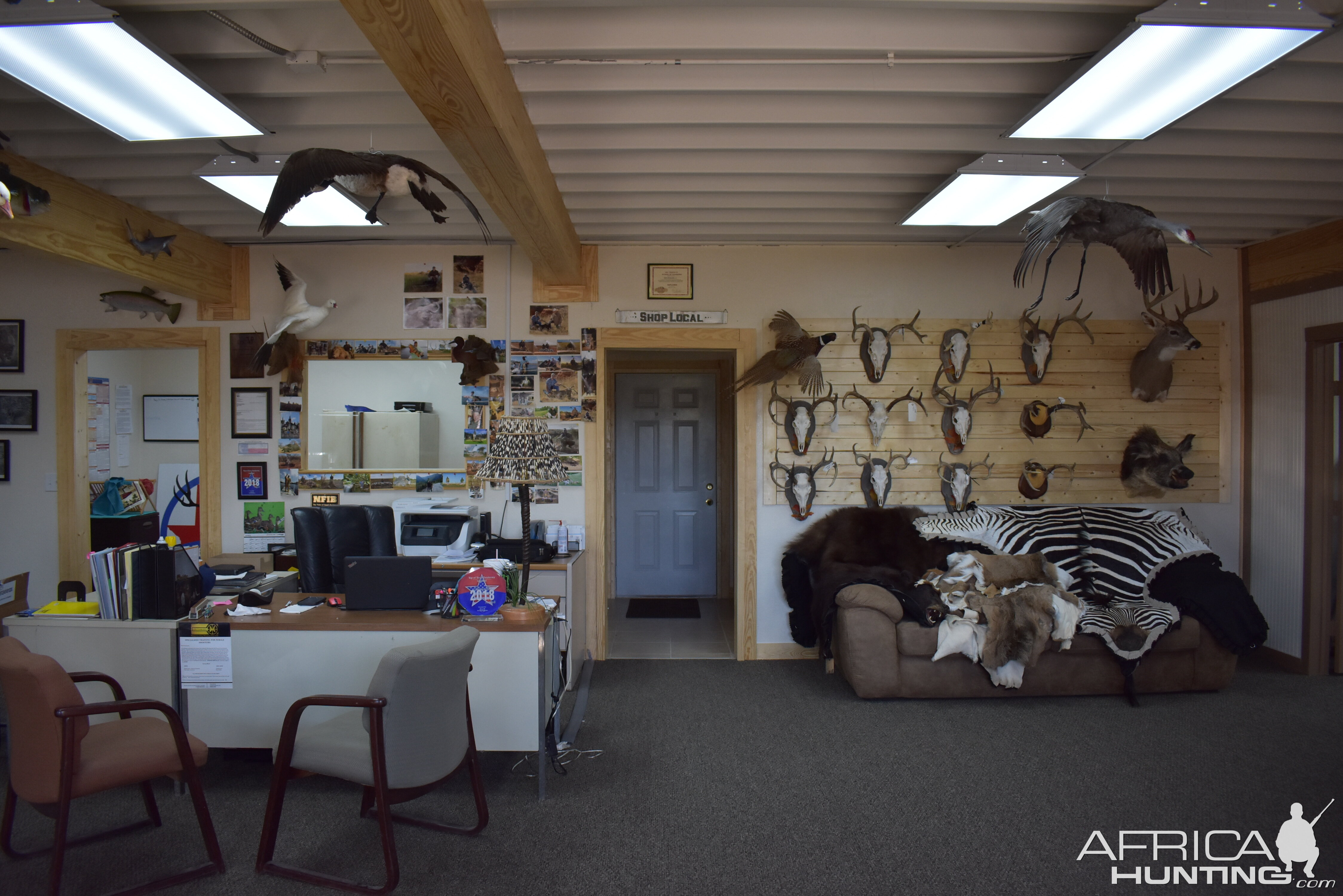 Top of Texas Taxidermy New Showroom and Studio