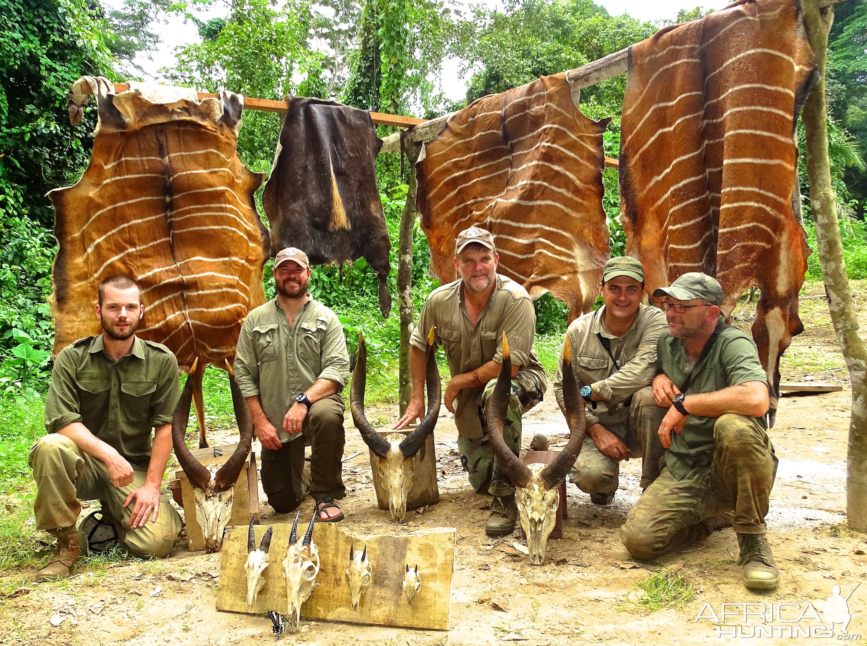 Torphy Hunting Congo