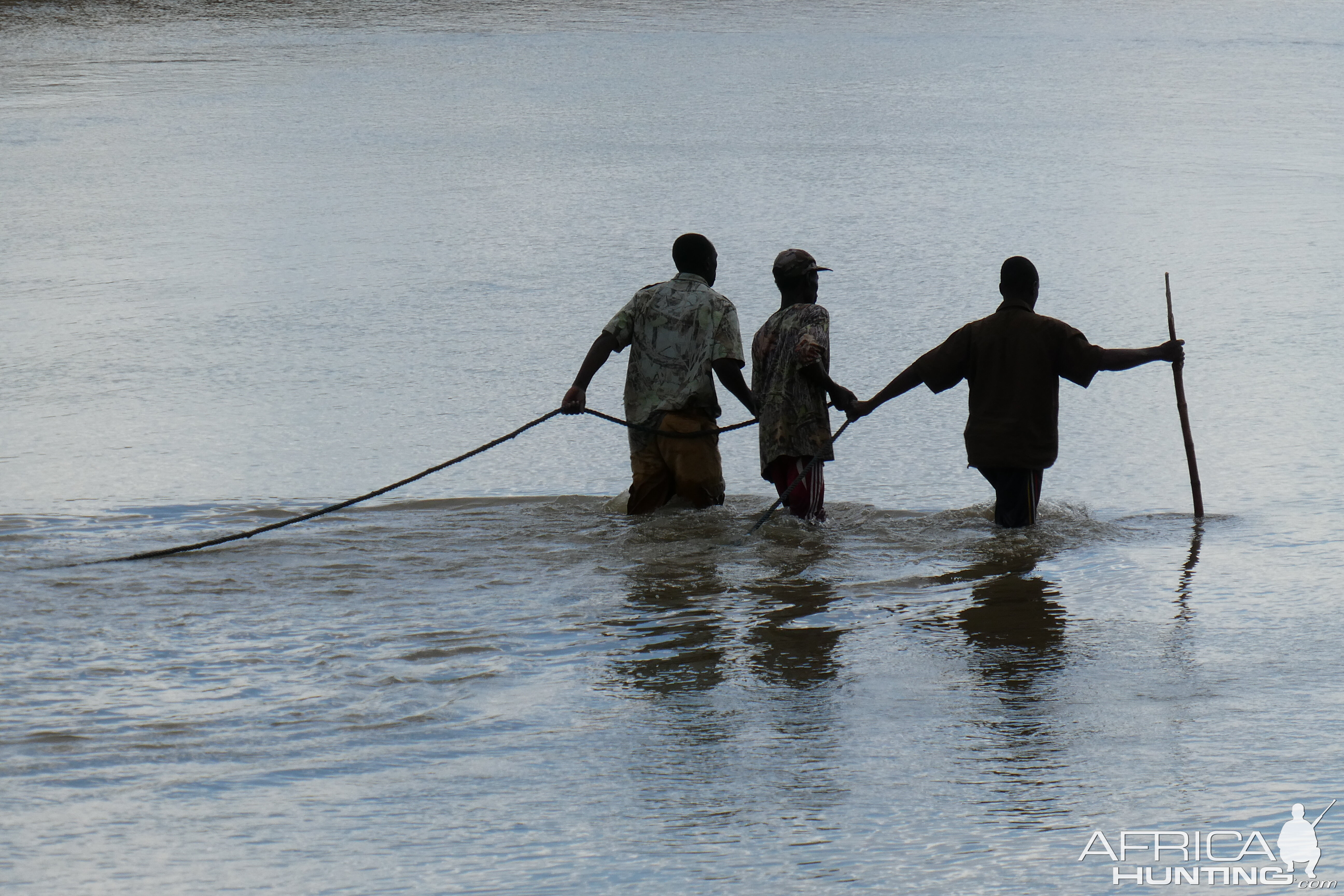 Trackers retrieving Crocodile Zambia