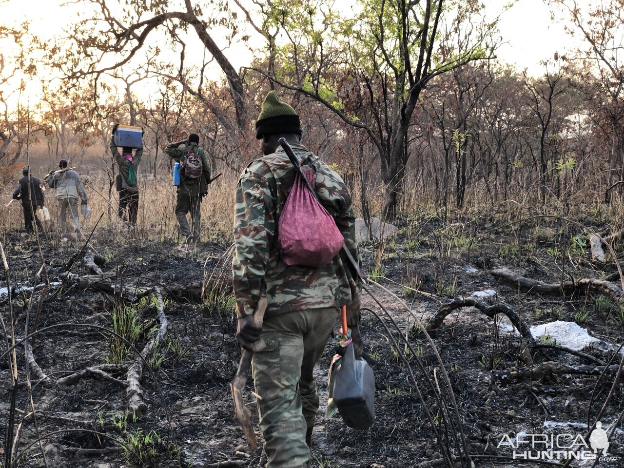 trackers walk the river banks to see if they can spot a python track