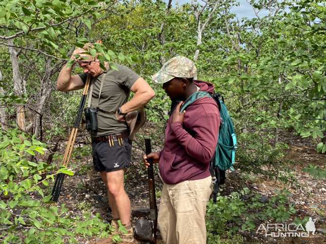 Tracking Blue Wildebeest in South Africa