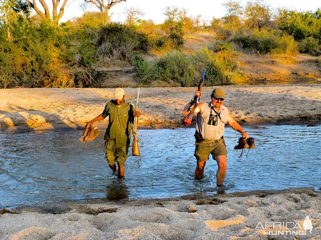 Tracking Buffalo along the Klaserie in South Africa