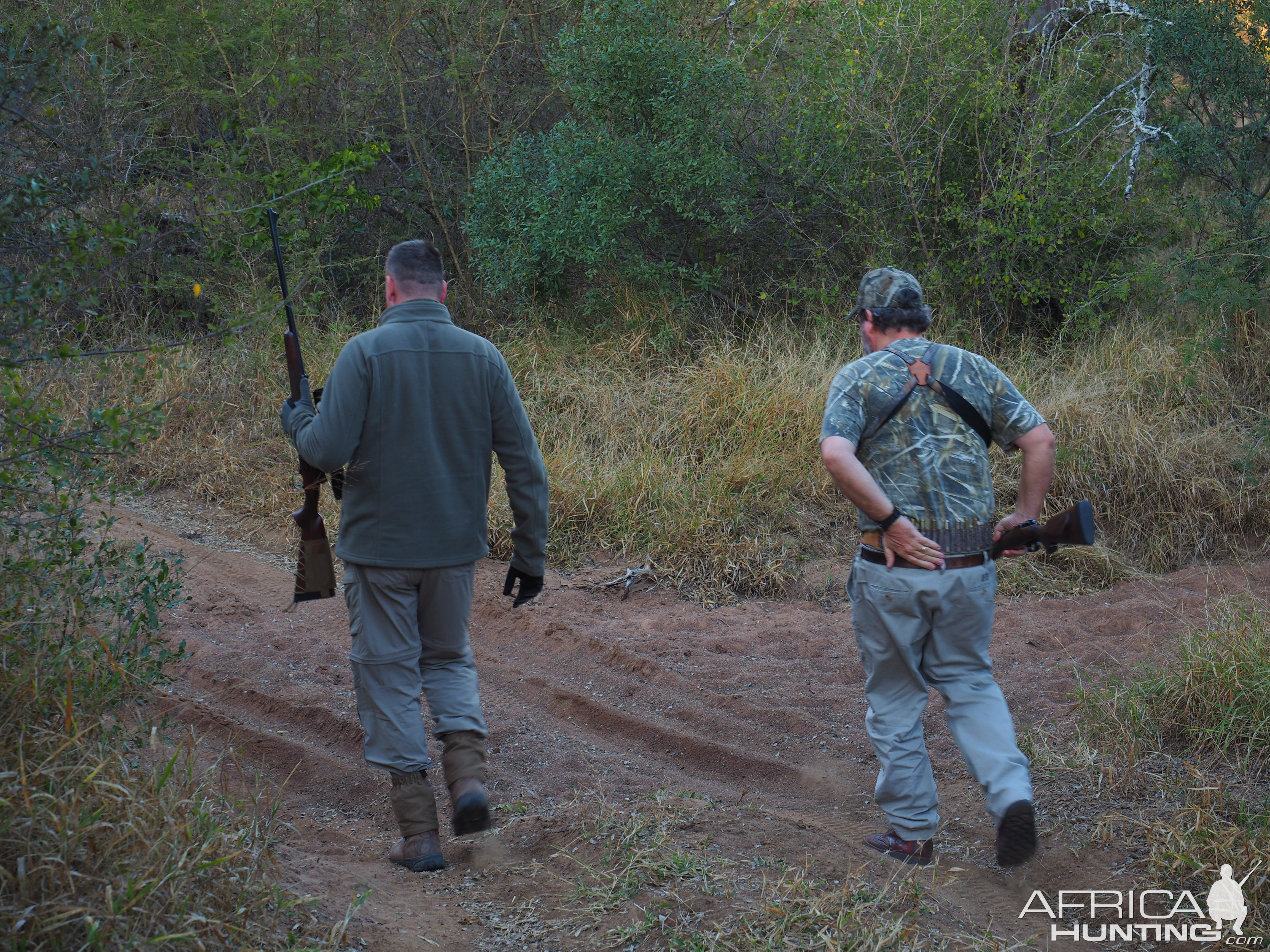 Tracking Buffalo