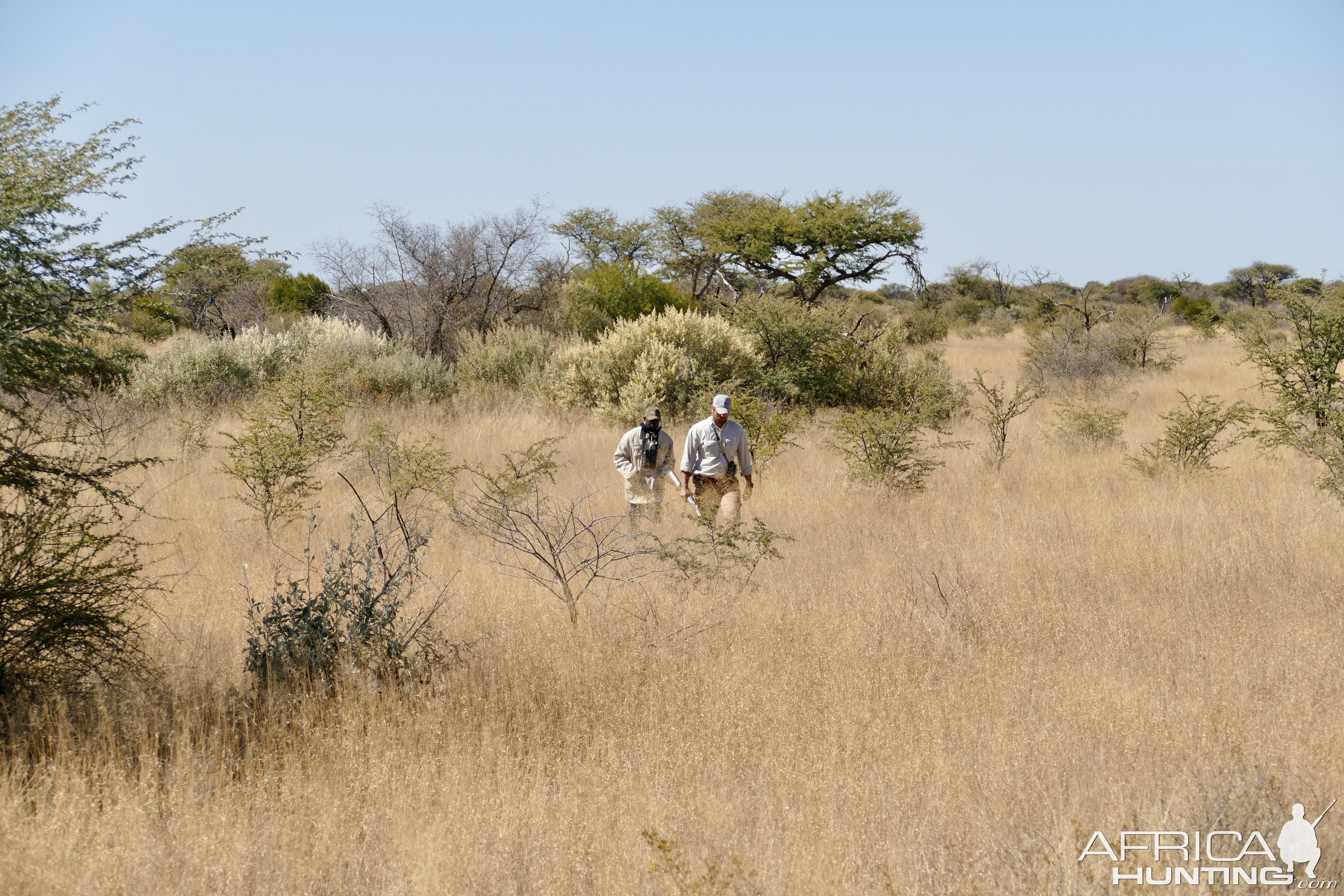 Tracking Eland & Kudu Namibia