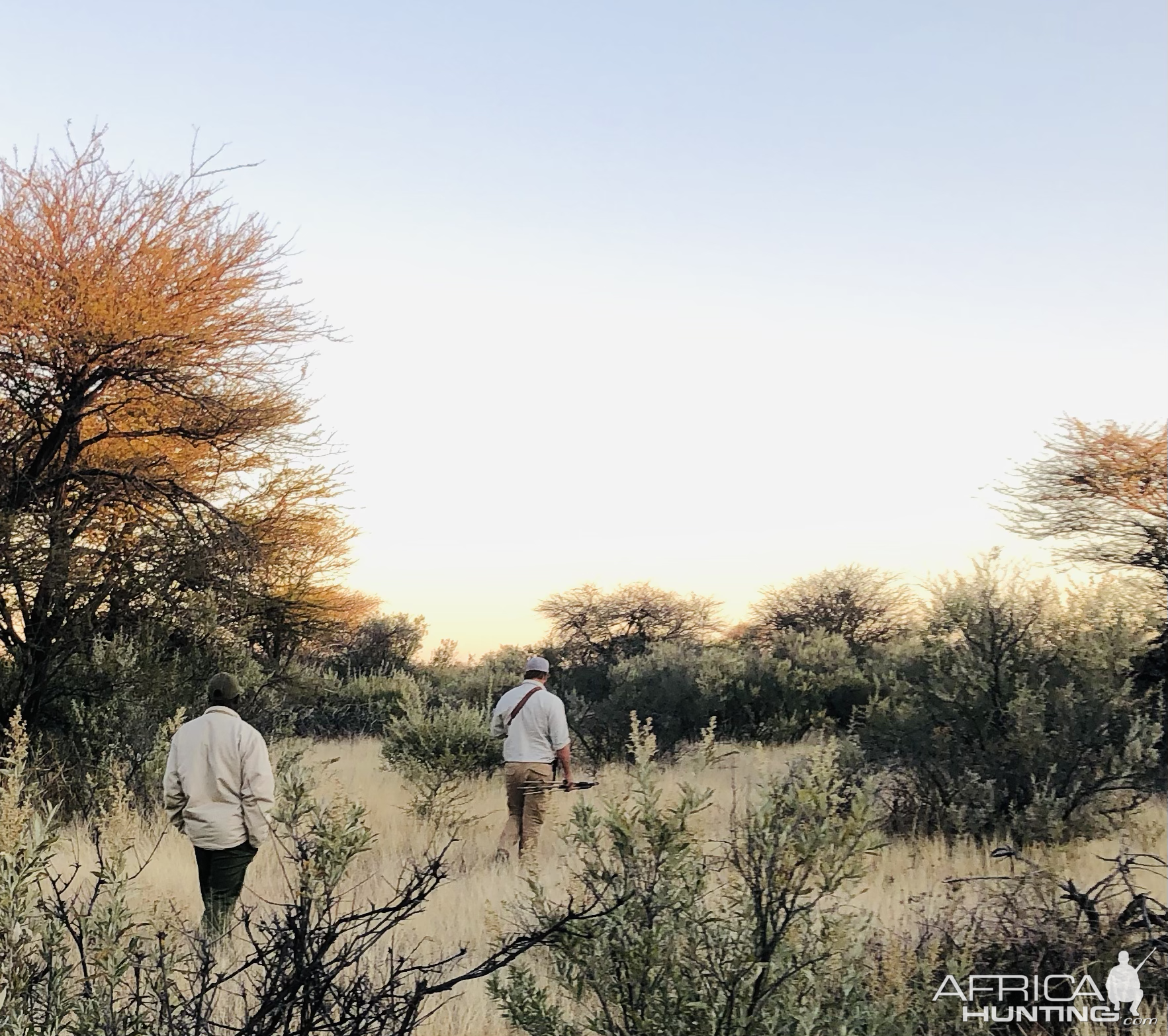 Tracking Eland Namibia