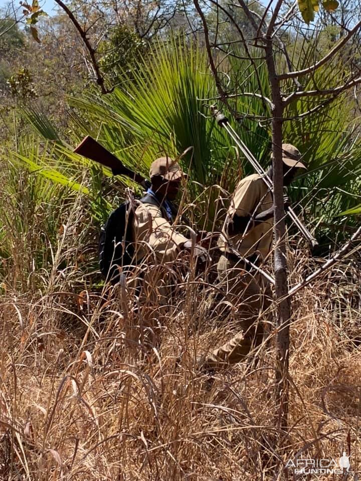 Tracking Game Zambia