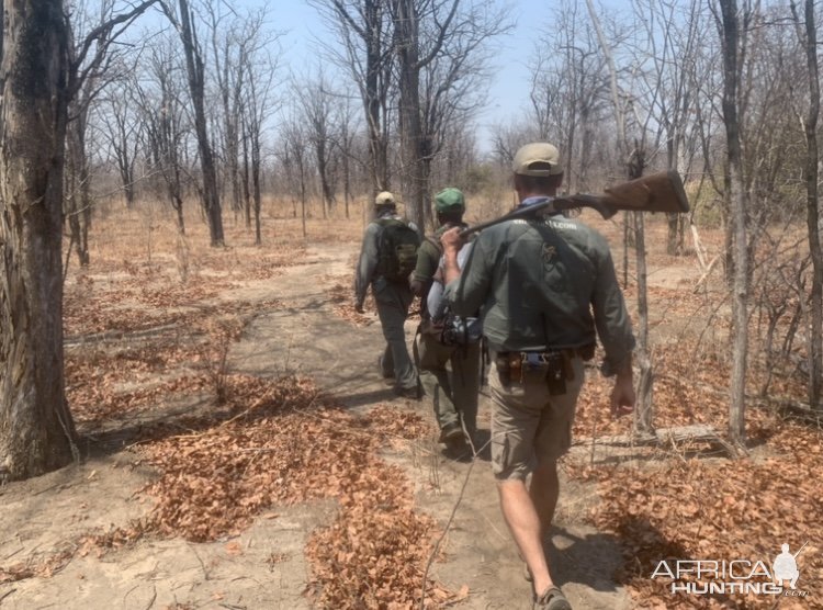 Tracking Game Zimbabwe