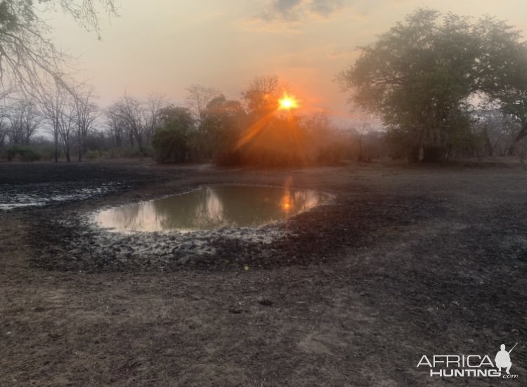 Tracking Game Zimbabwe