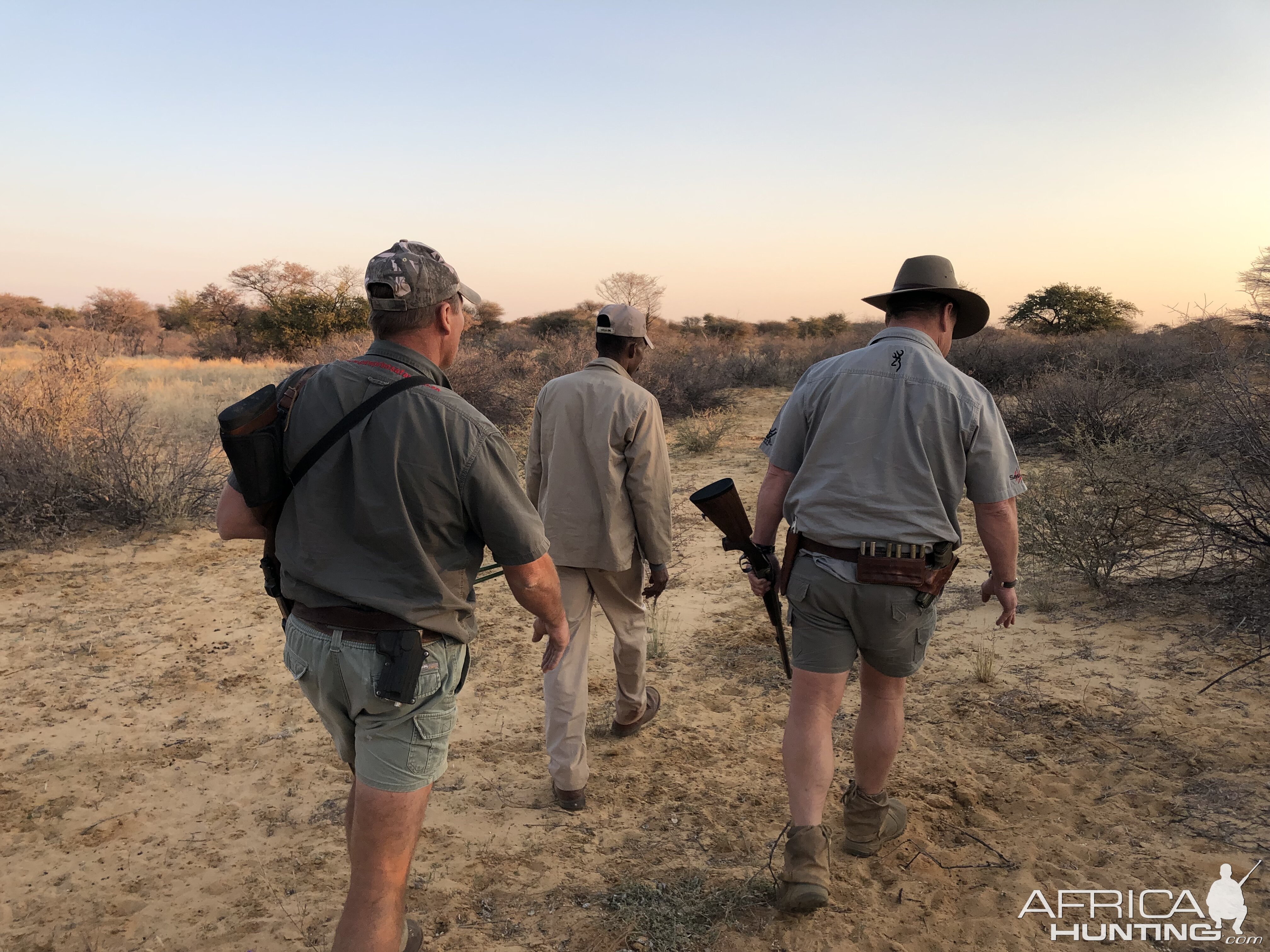 Tracking Lion in South Africa