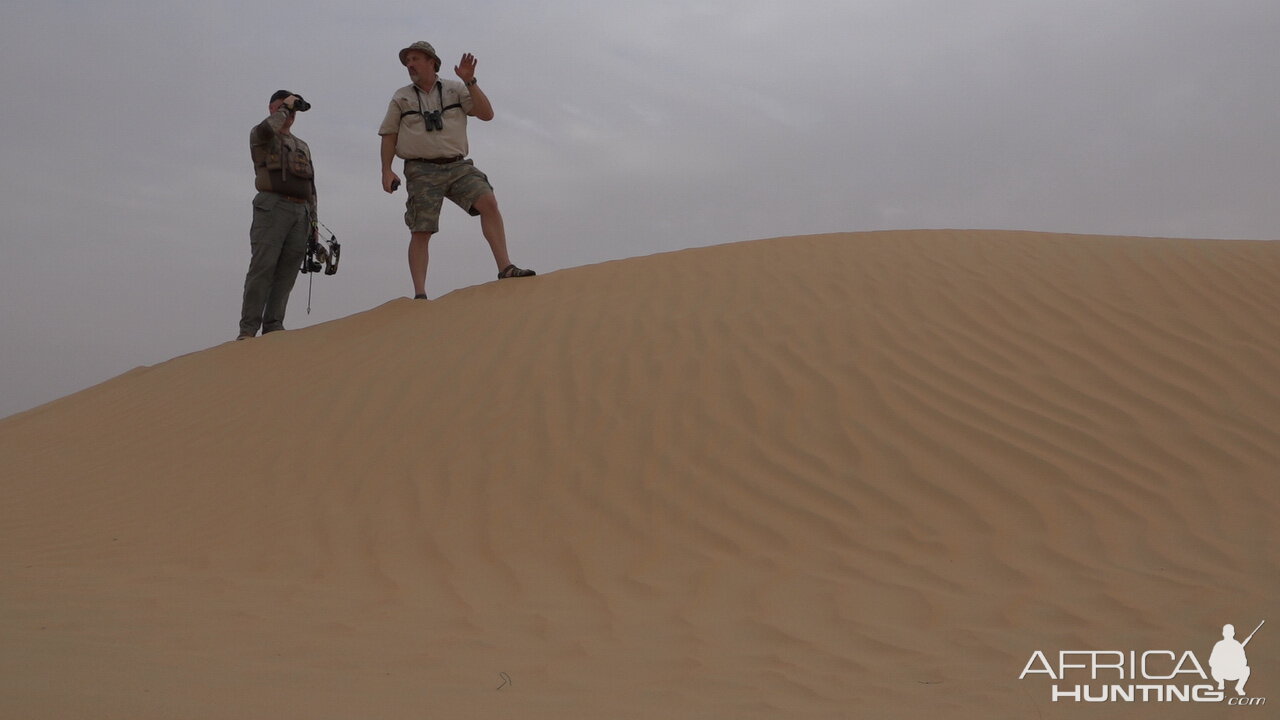 Tracking Mountain Gazelle United Arab Emirates