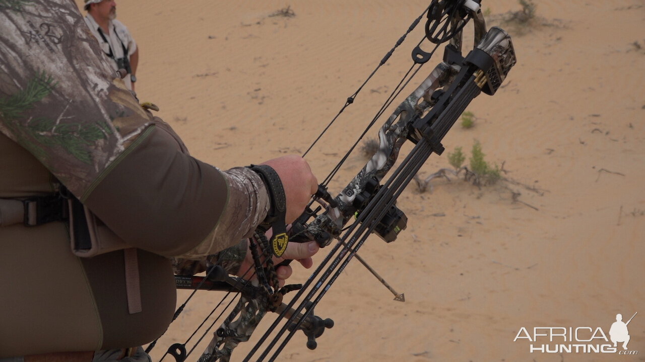 Tracking Mountain Gazelle United Arab Emirates