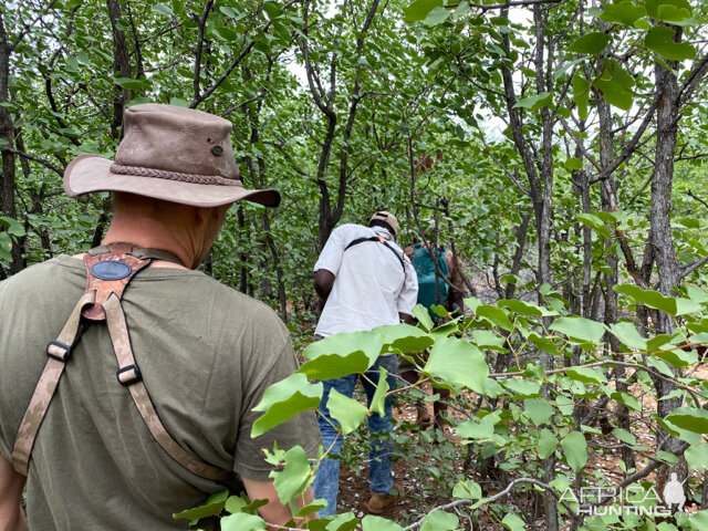 Tracking Sable Antelope in South Africa