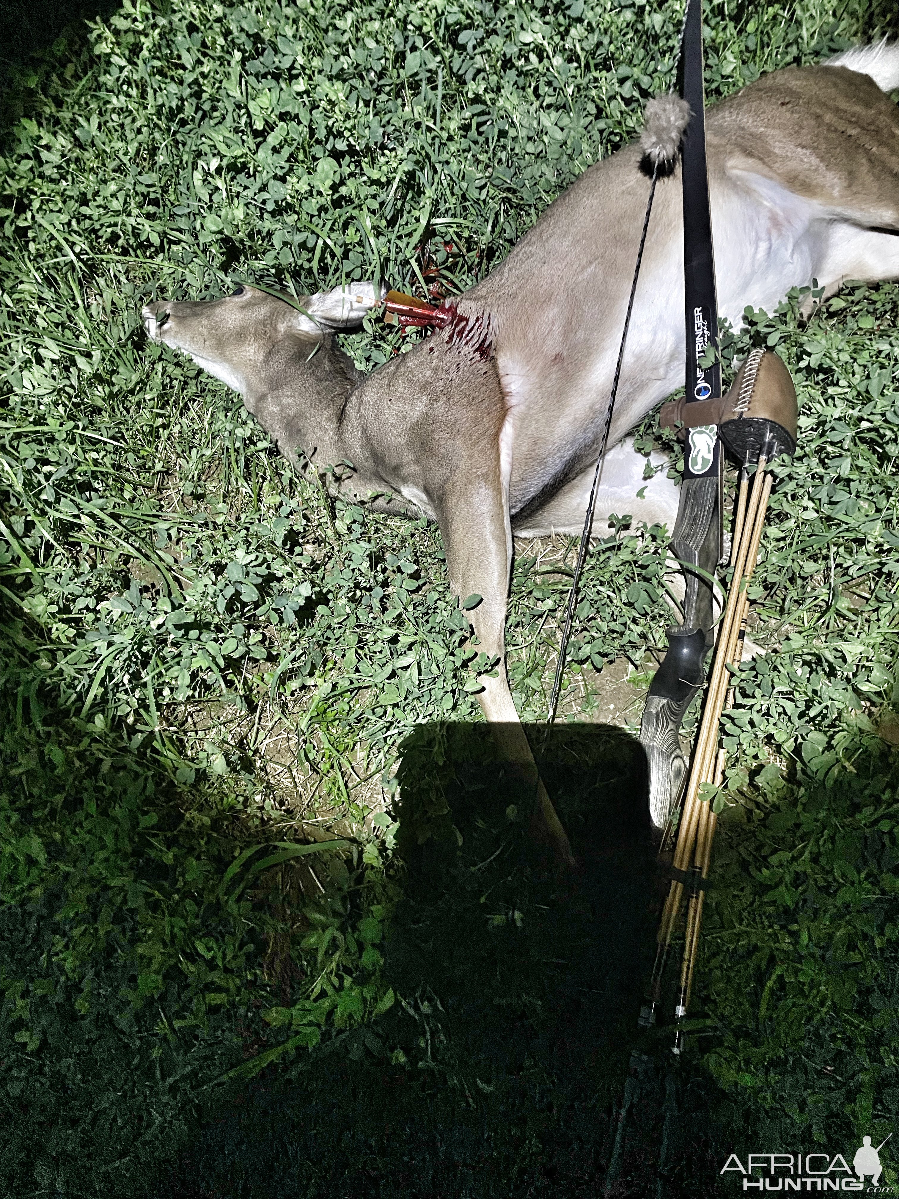 Traditional Bow Hunt Whitetail Doe