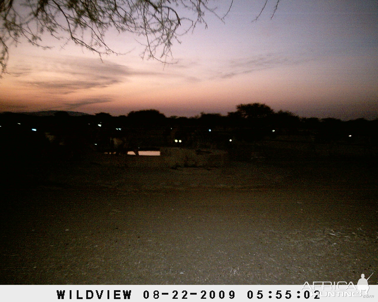 Trail cam eyes, Namibia