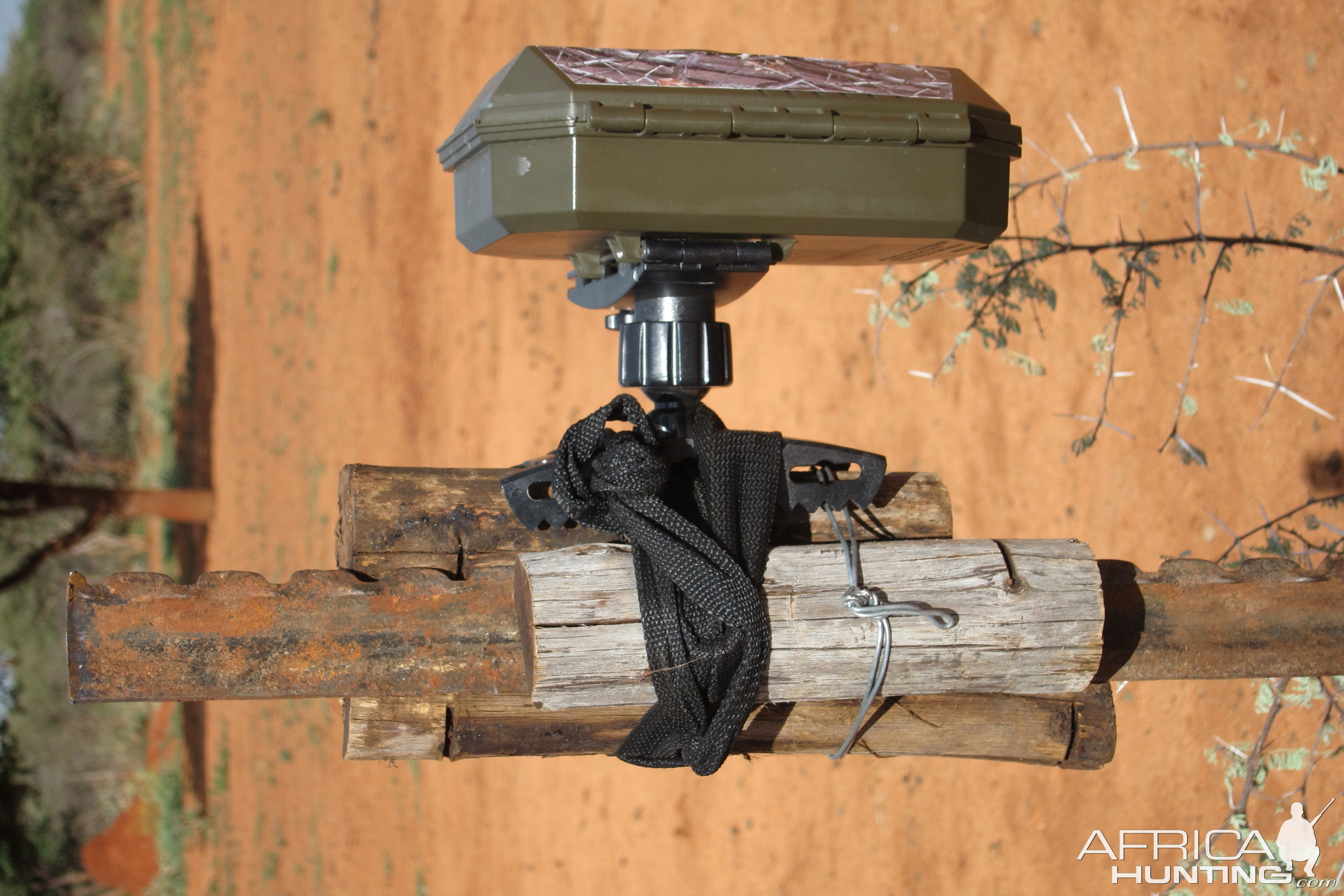 Trail Cam Set Up