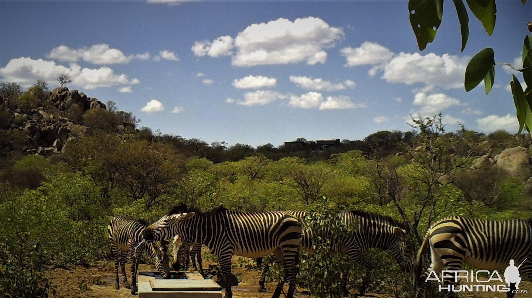 Trail camera at camp waterhole