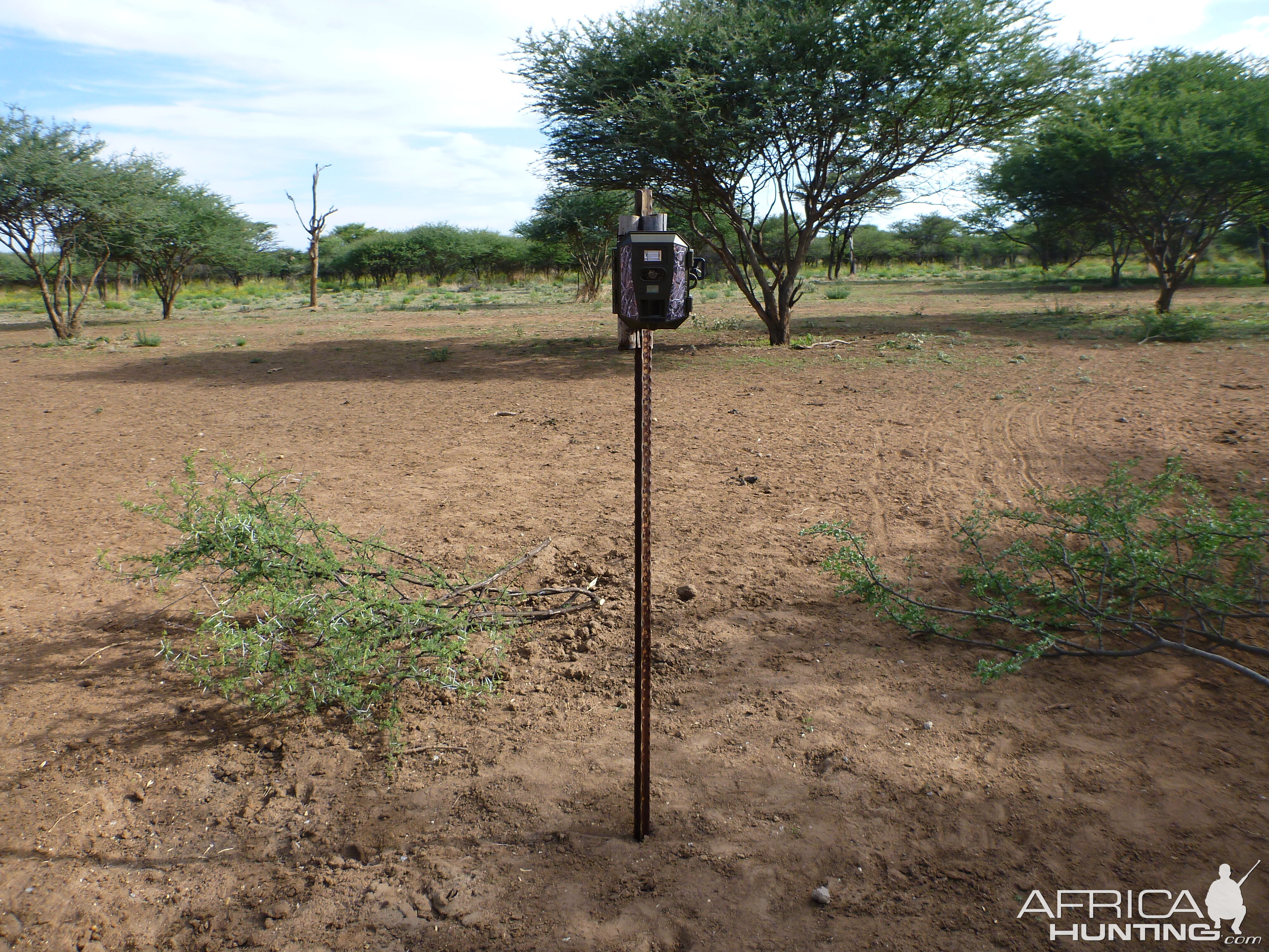 Trail Camera Namibia