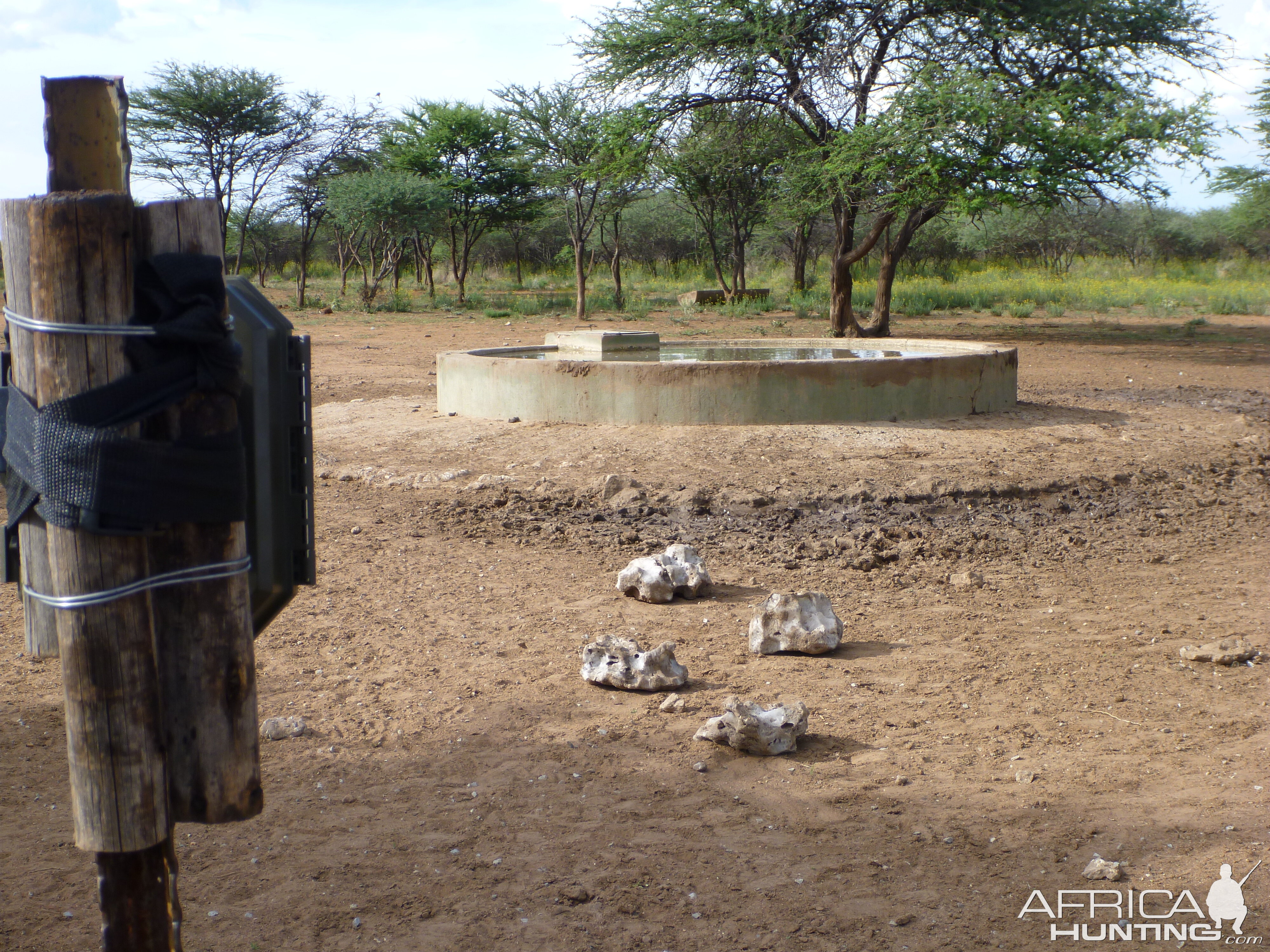 Trail Camera Namibia