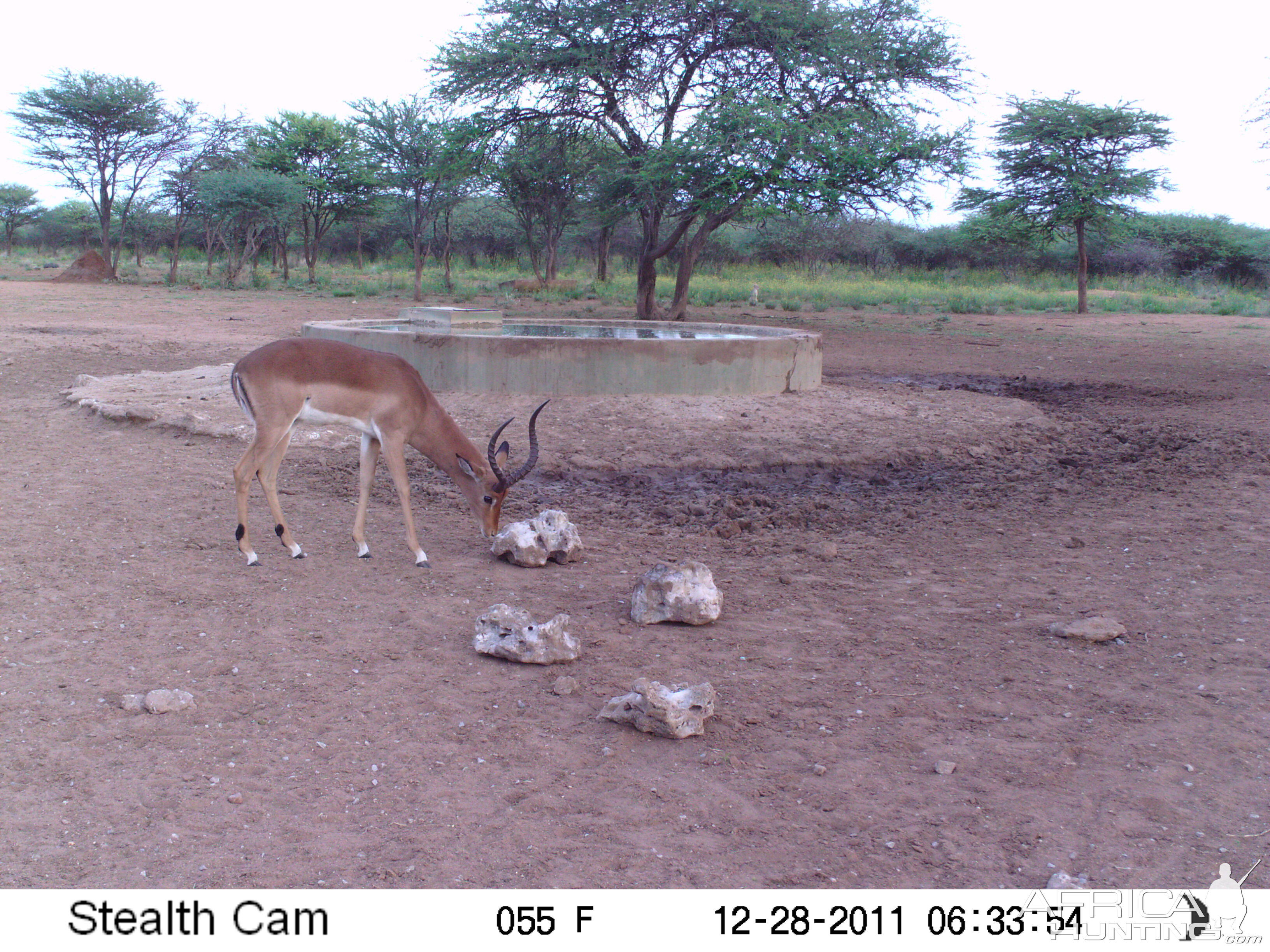 Trail Camera Namibia