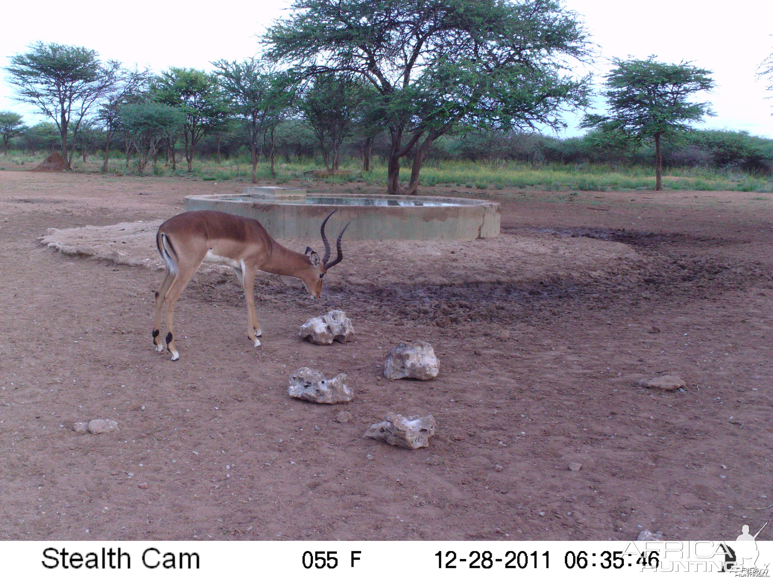 Trail Camera Namibia