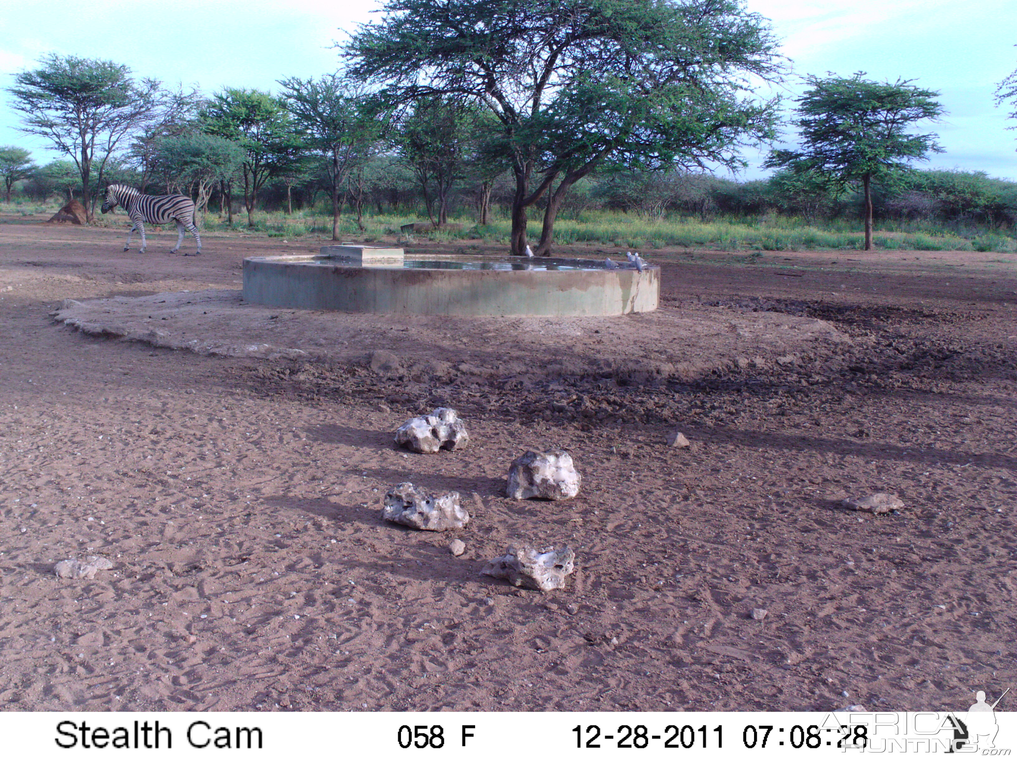 Trail Camera Namibia