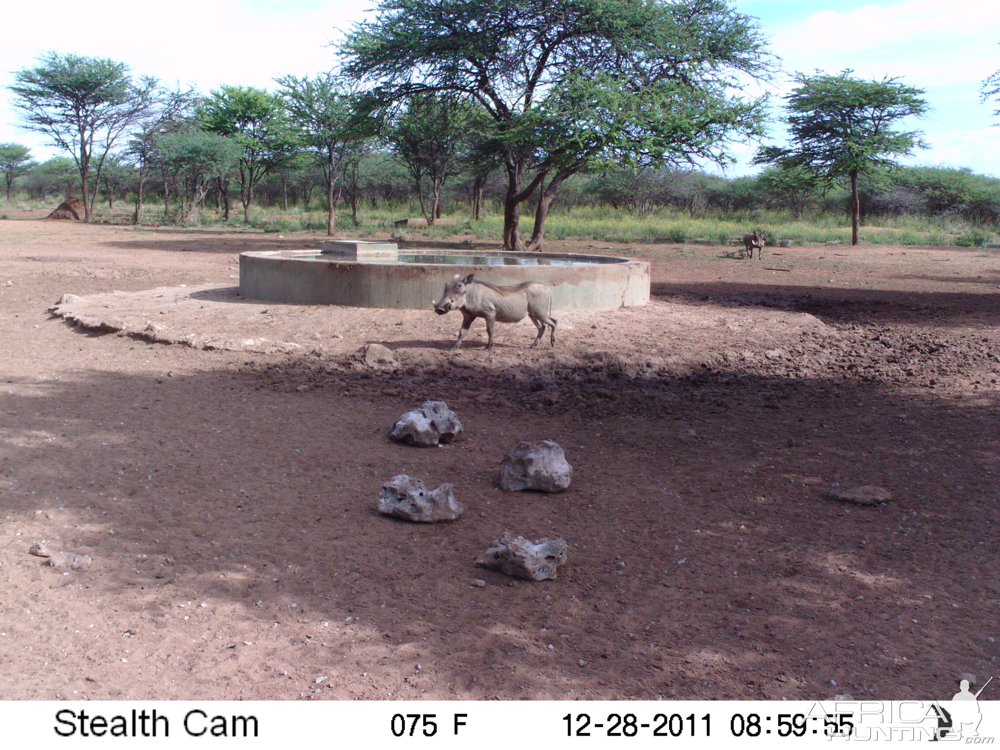 Trail Camera Namibia