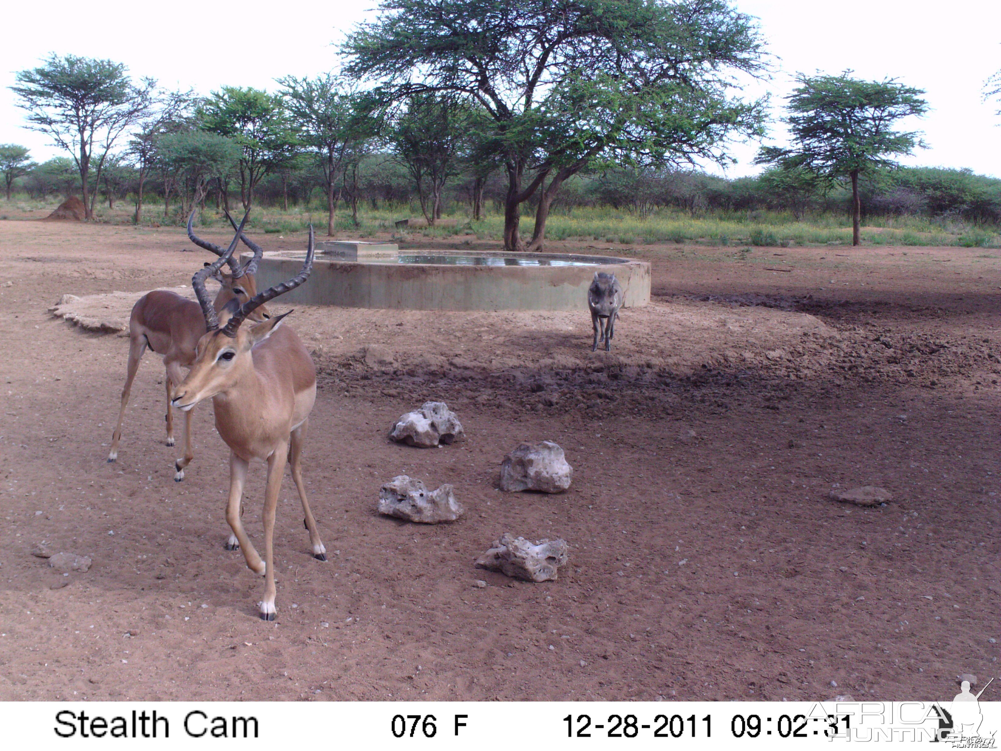 Trail Camera Namibia