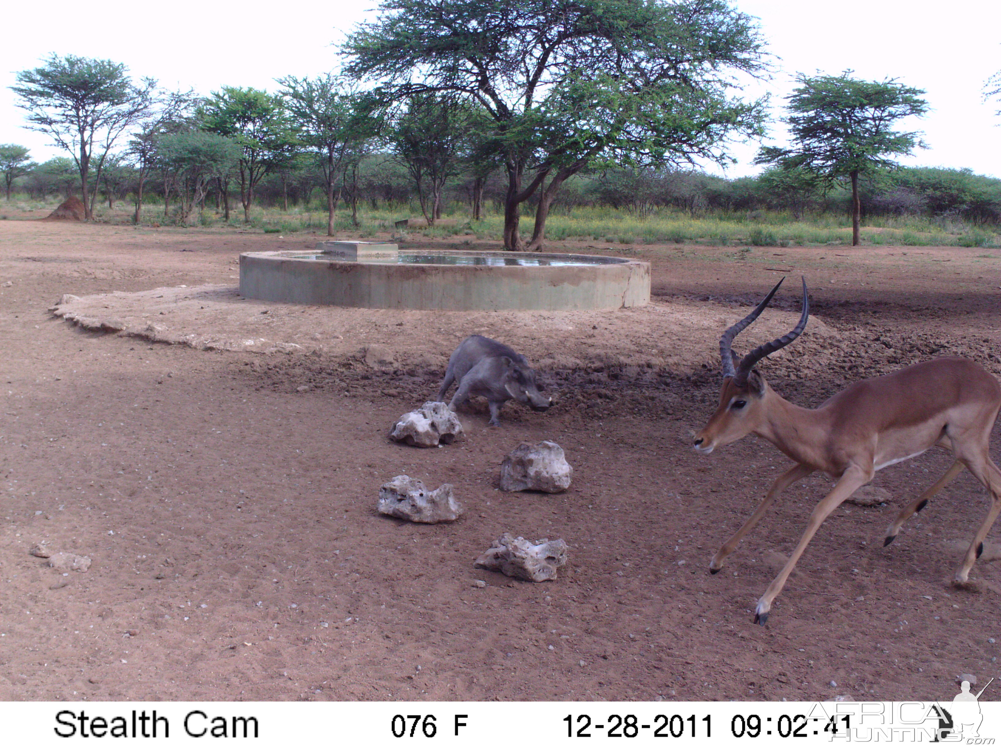 Trail Camera Namibia