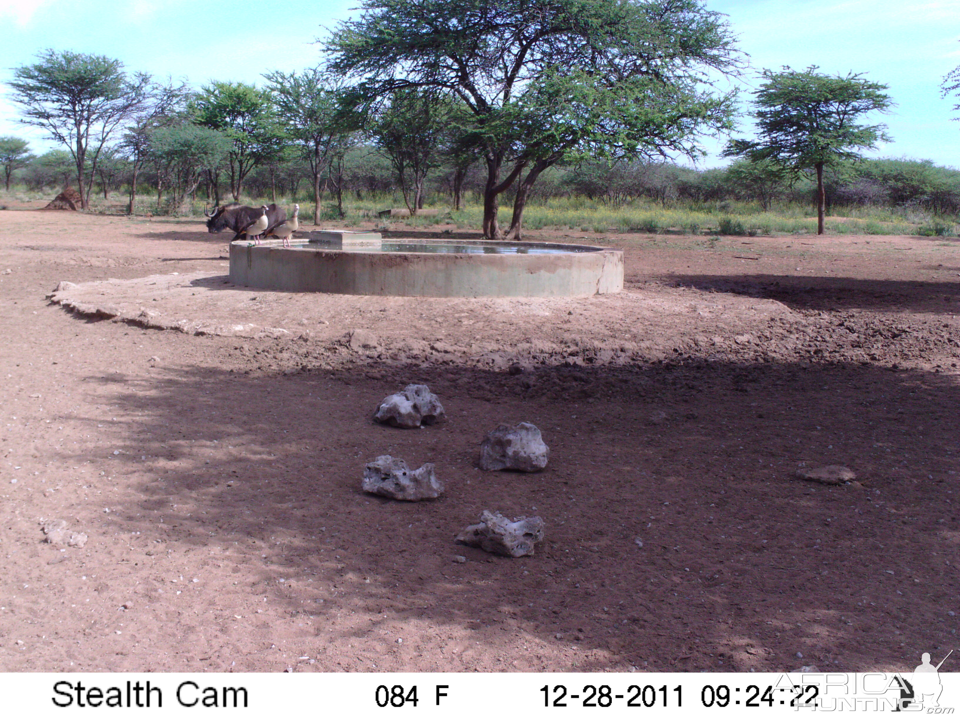 Trail Camera Namibia