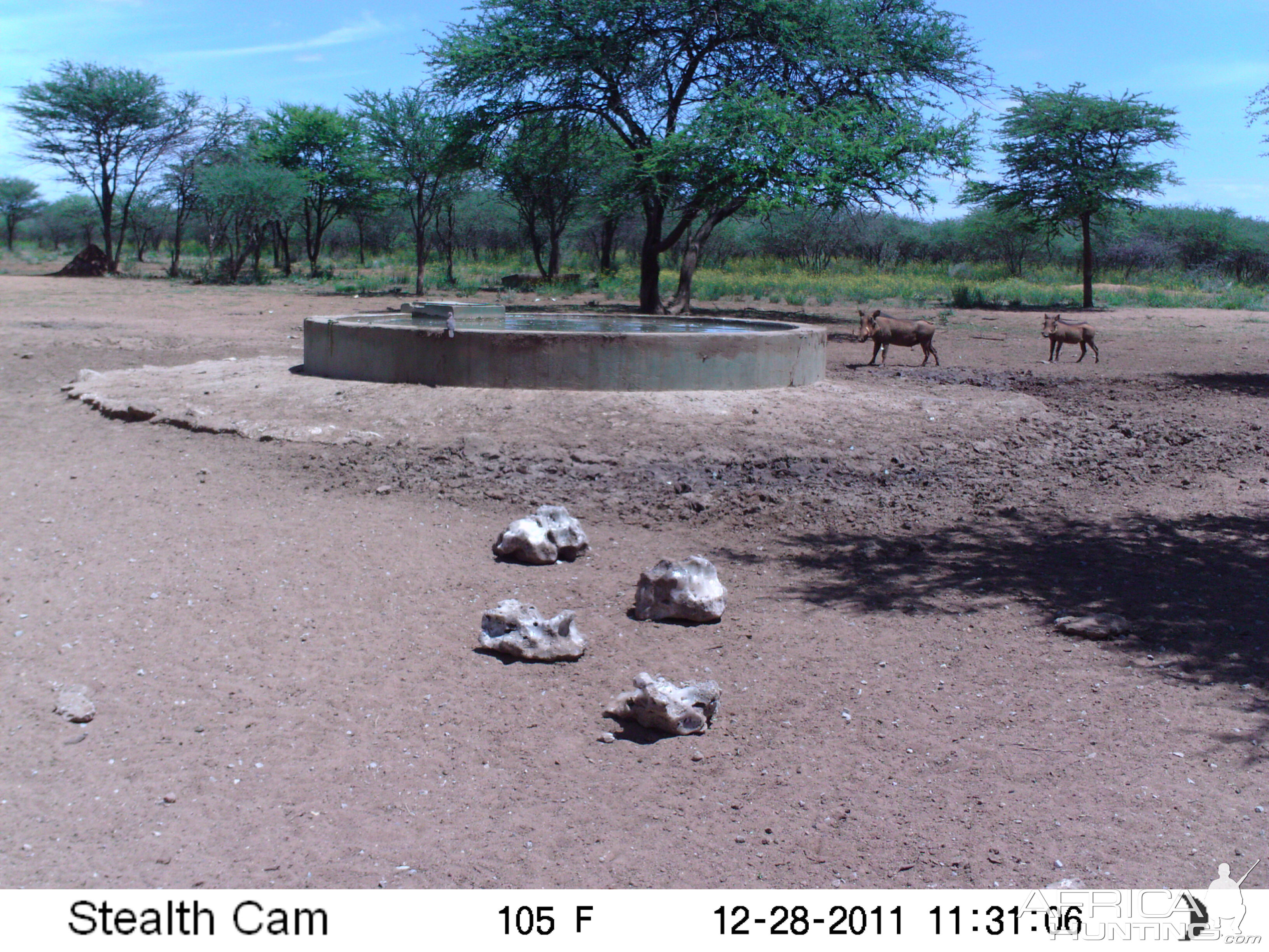 Trail Camera Namibia