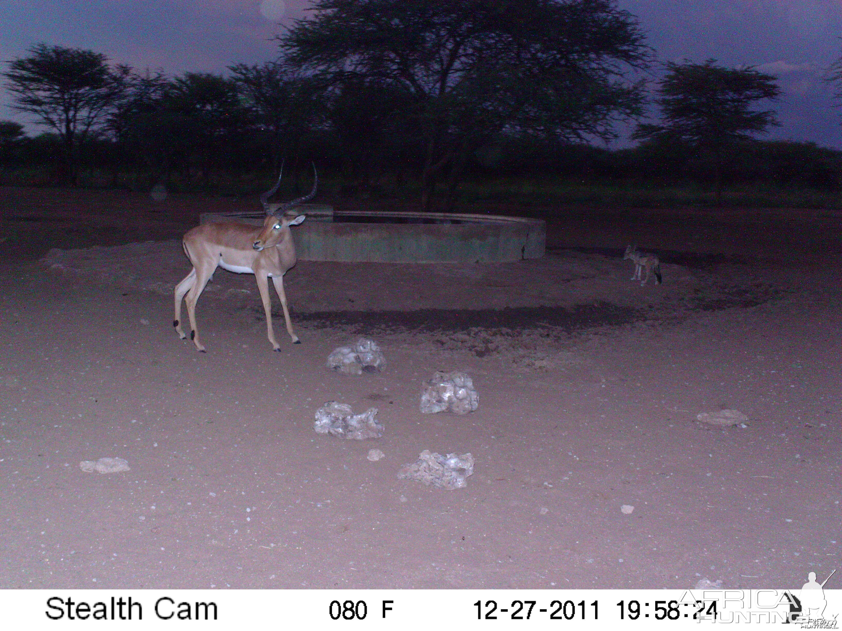 Trail Camera Namibia