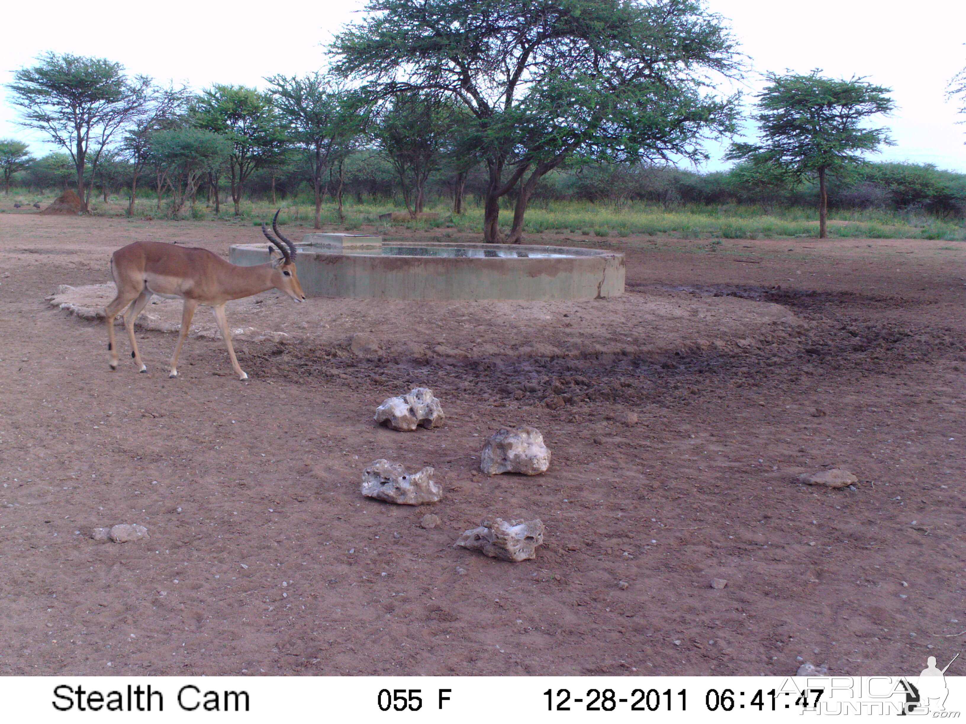 Trail Camera Namibia