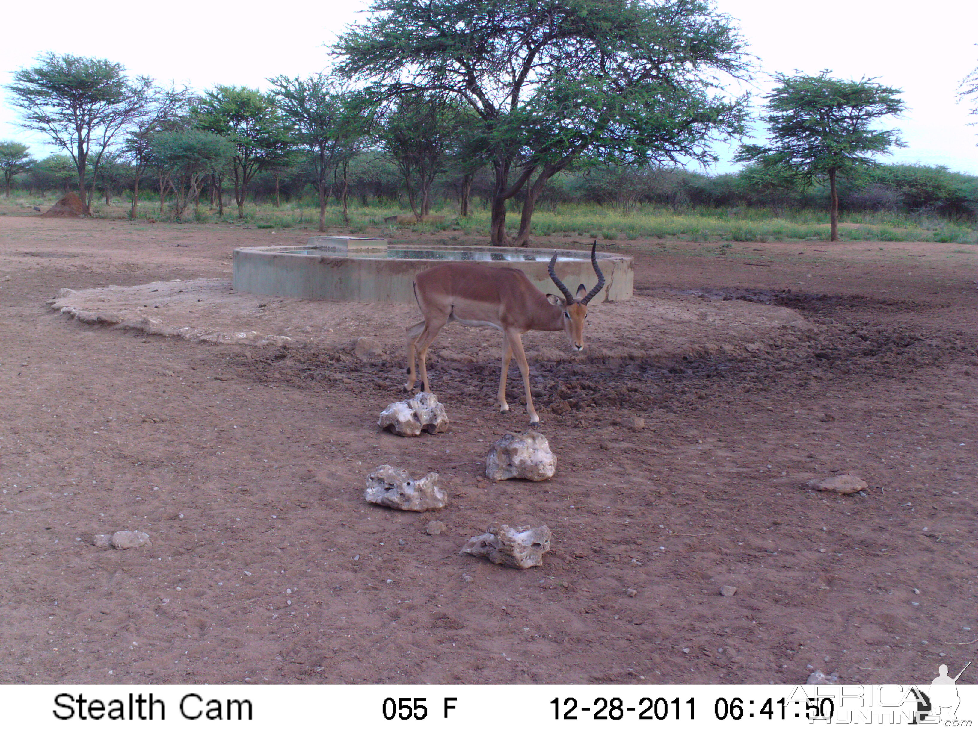 Trail Camera Namibia