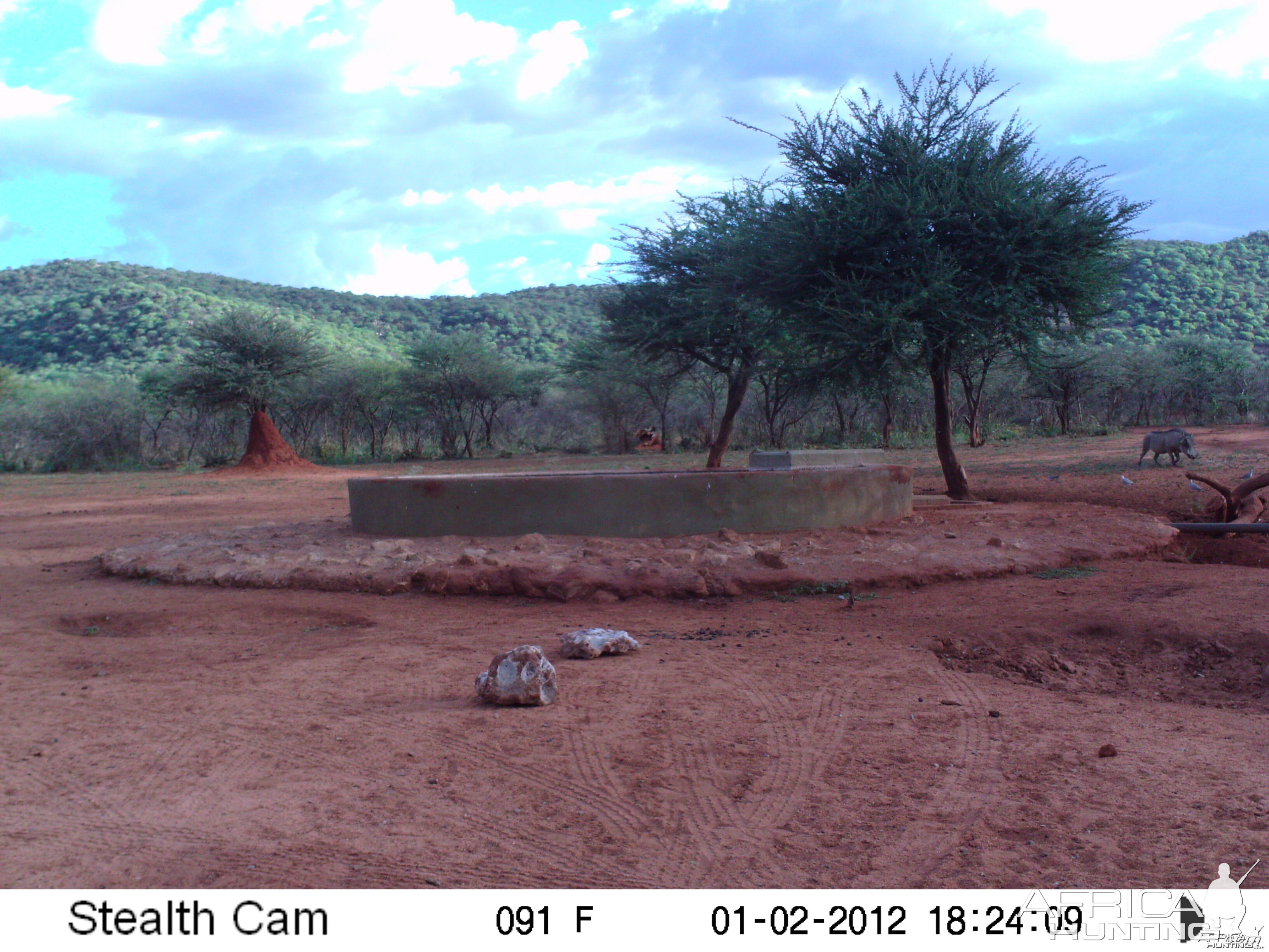 Trail Camera Namibia