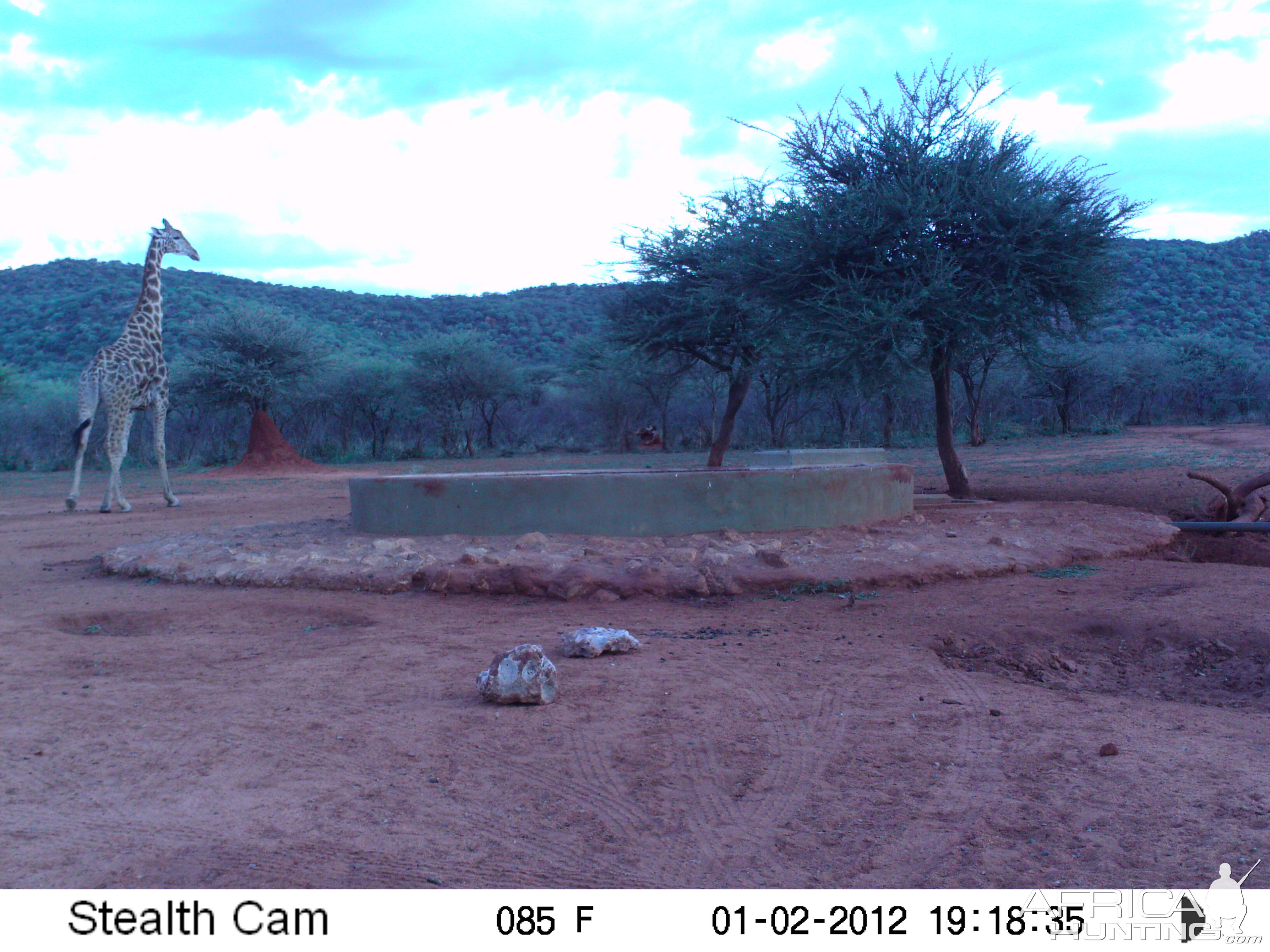 Trail Camera Namibia