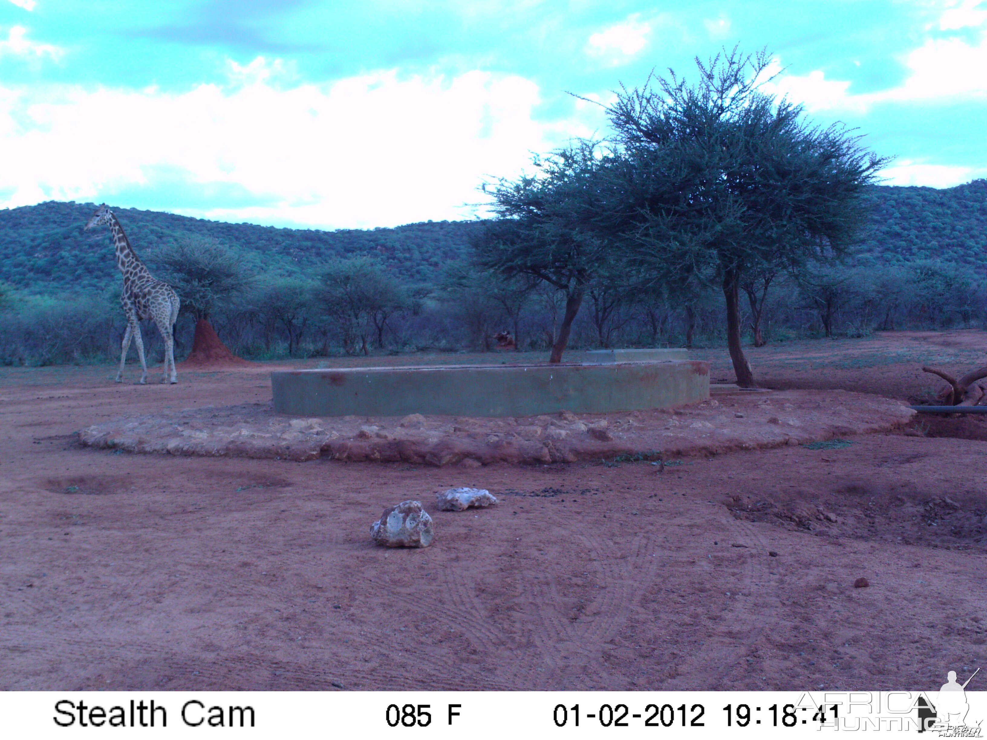 Trail Camera Namibia