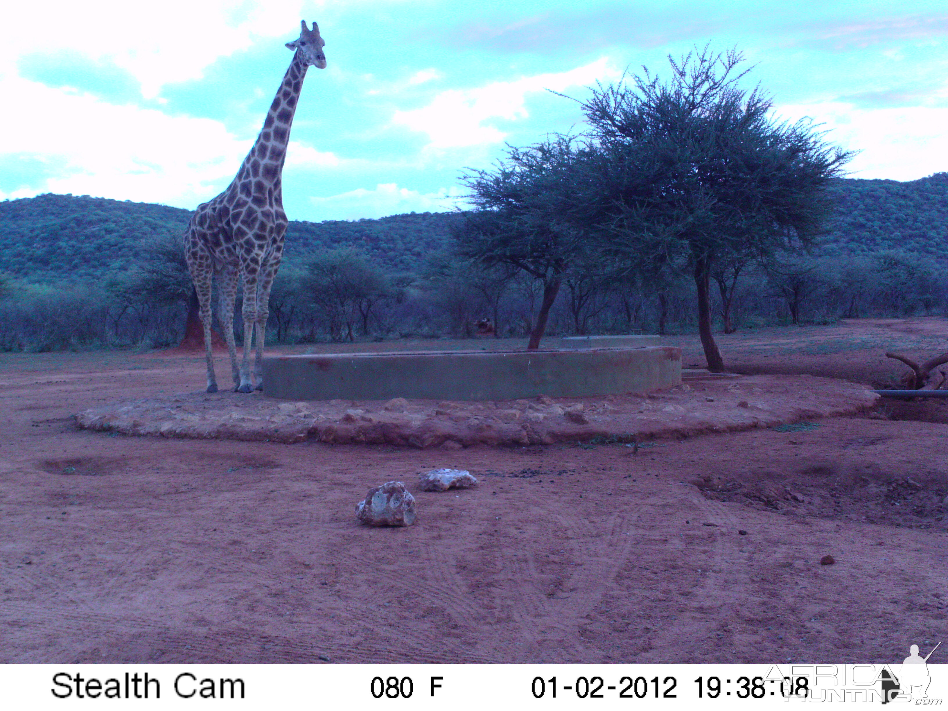 Trail Camera Namibia