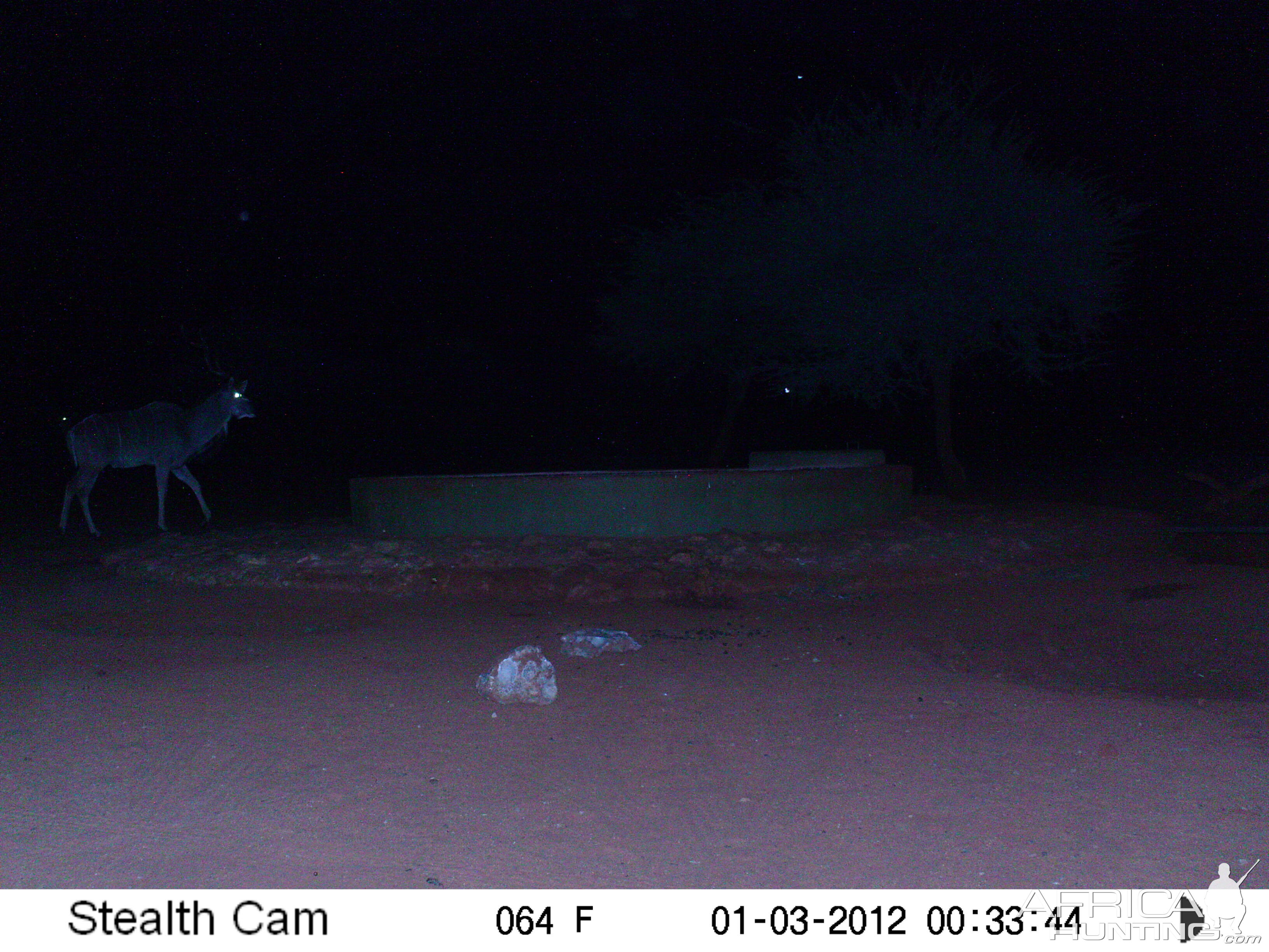 Trail Camera Namibia