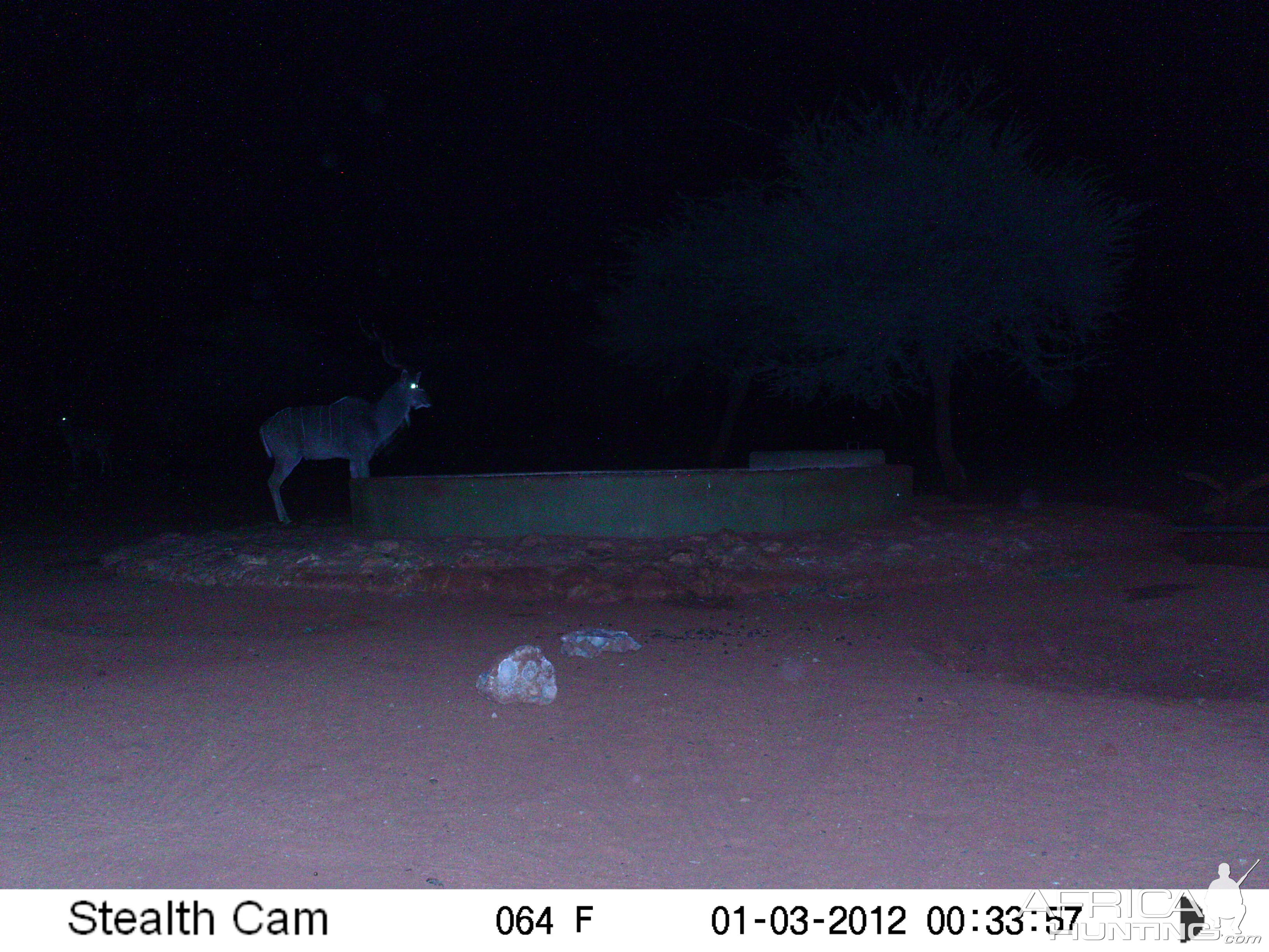 Trail Camera Namibia