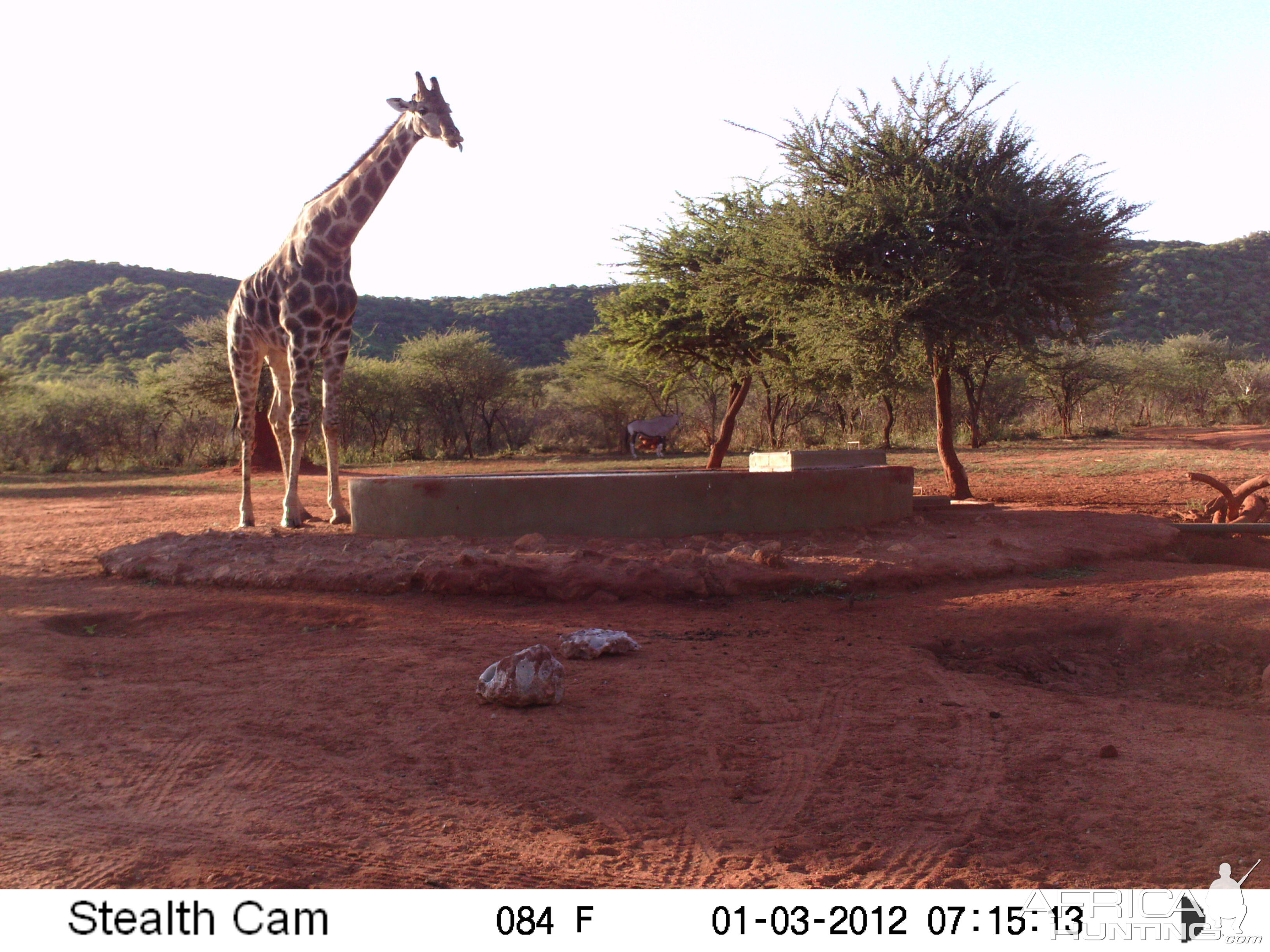 Trail Camera Namibia