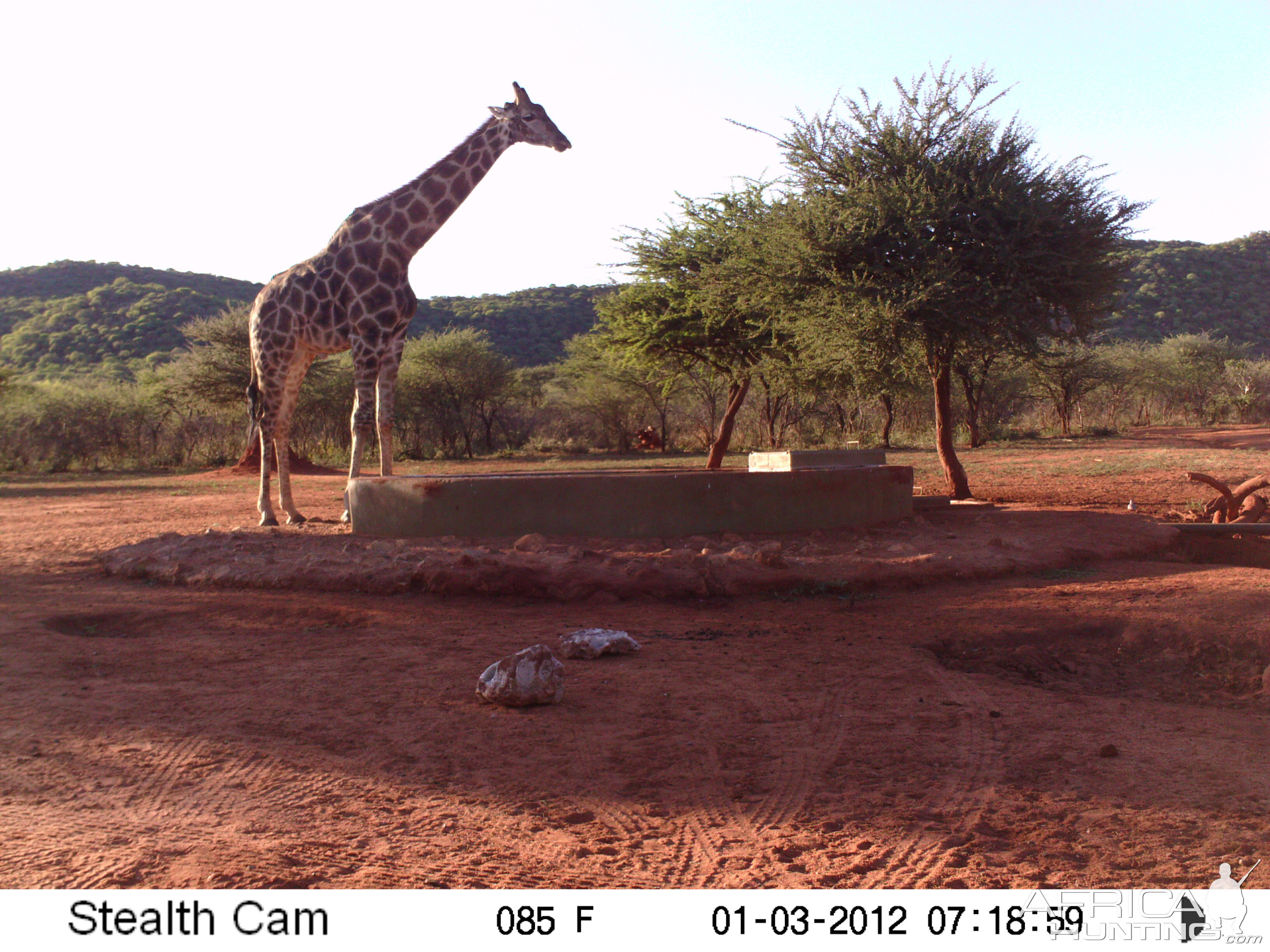 Trail Camera Namibia