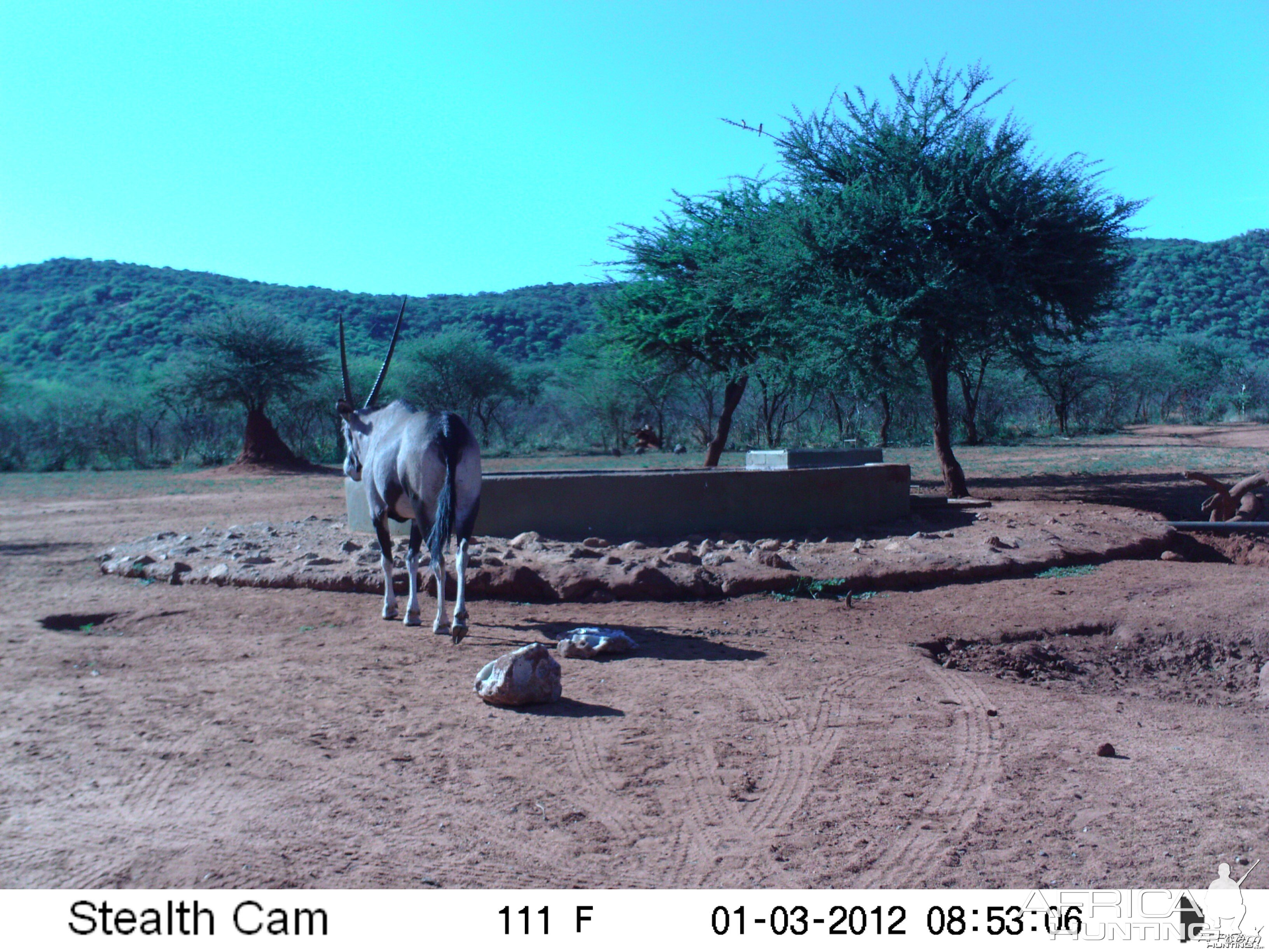 Trail Camera Namibia