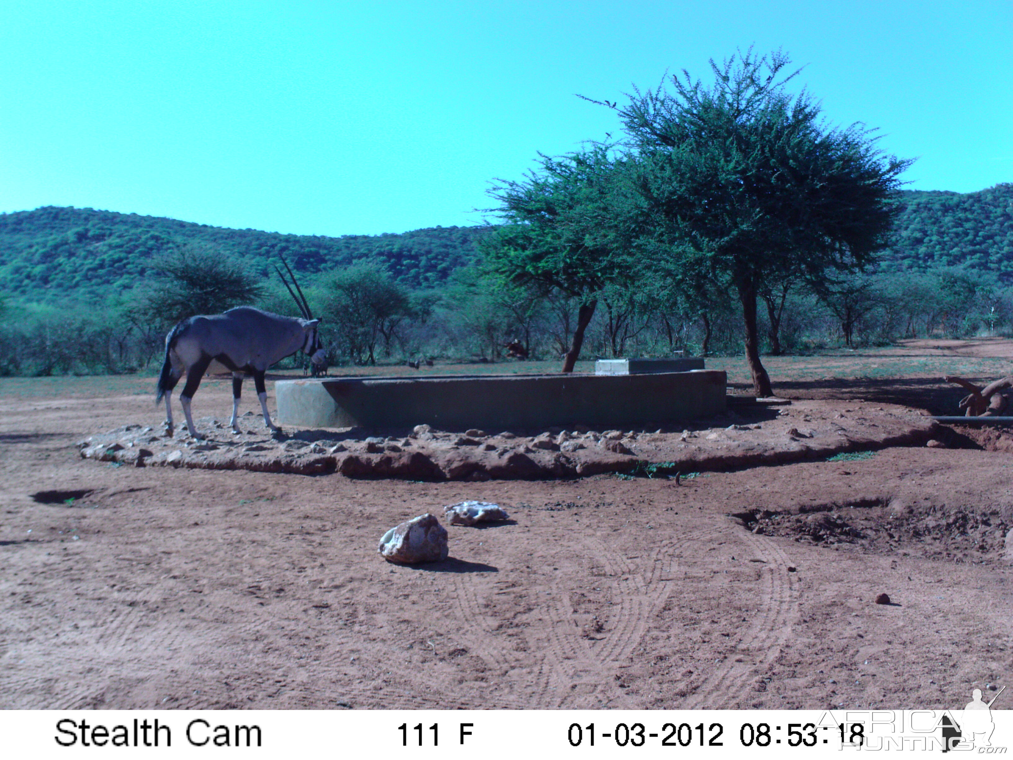 Trail Camera Namibia